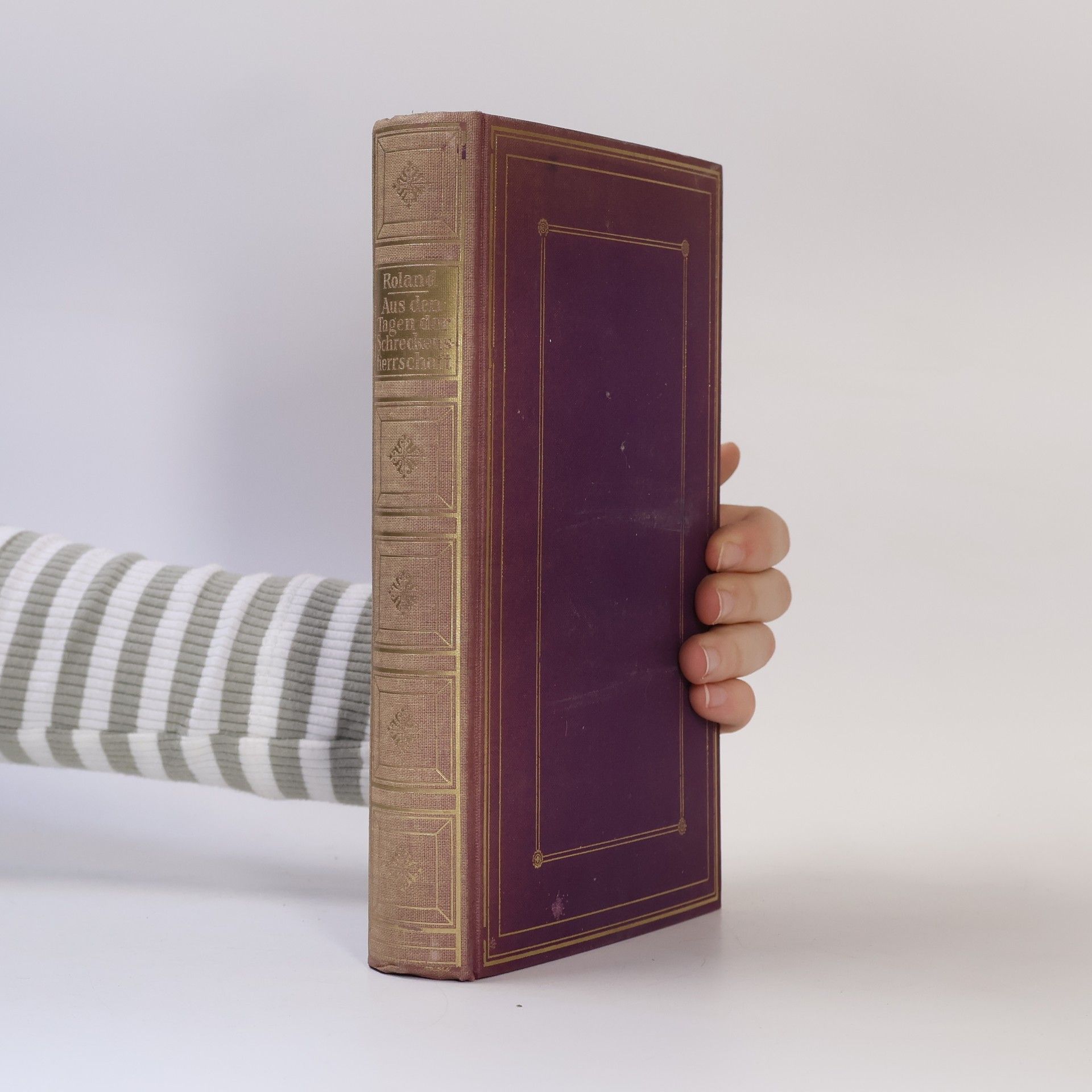 Max Krell Aus den Tagen der Schreckensherrschaft