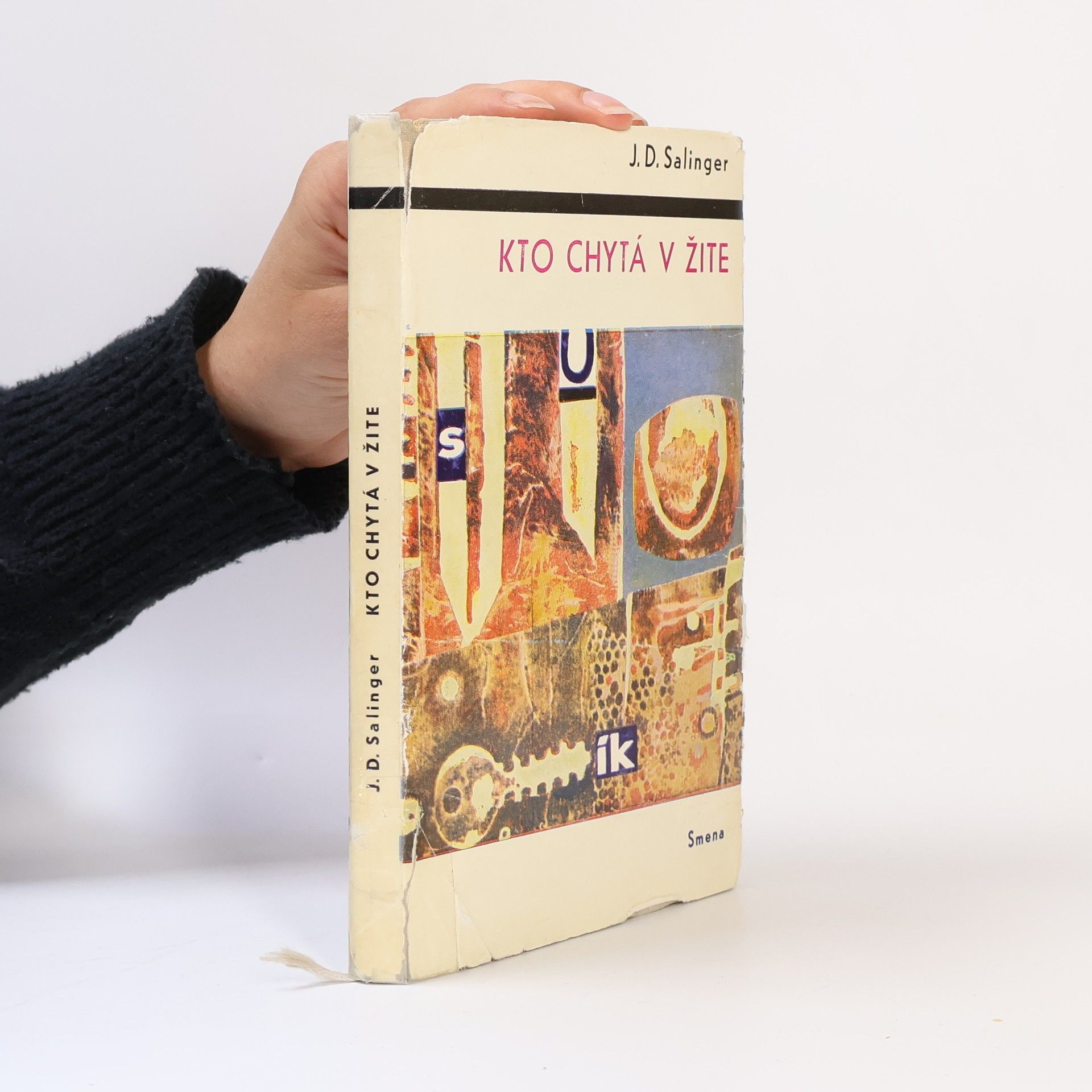J. D. Salinger Kto chytá v žite