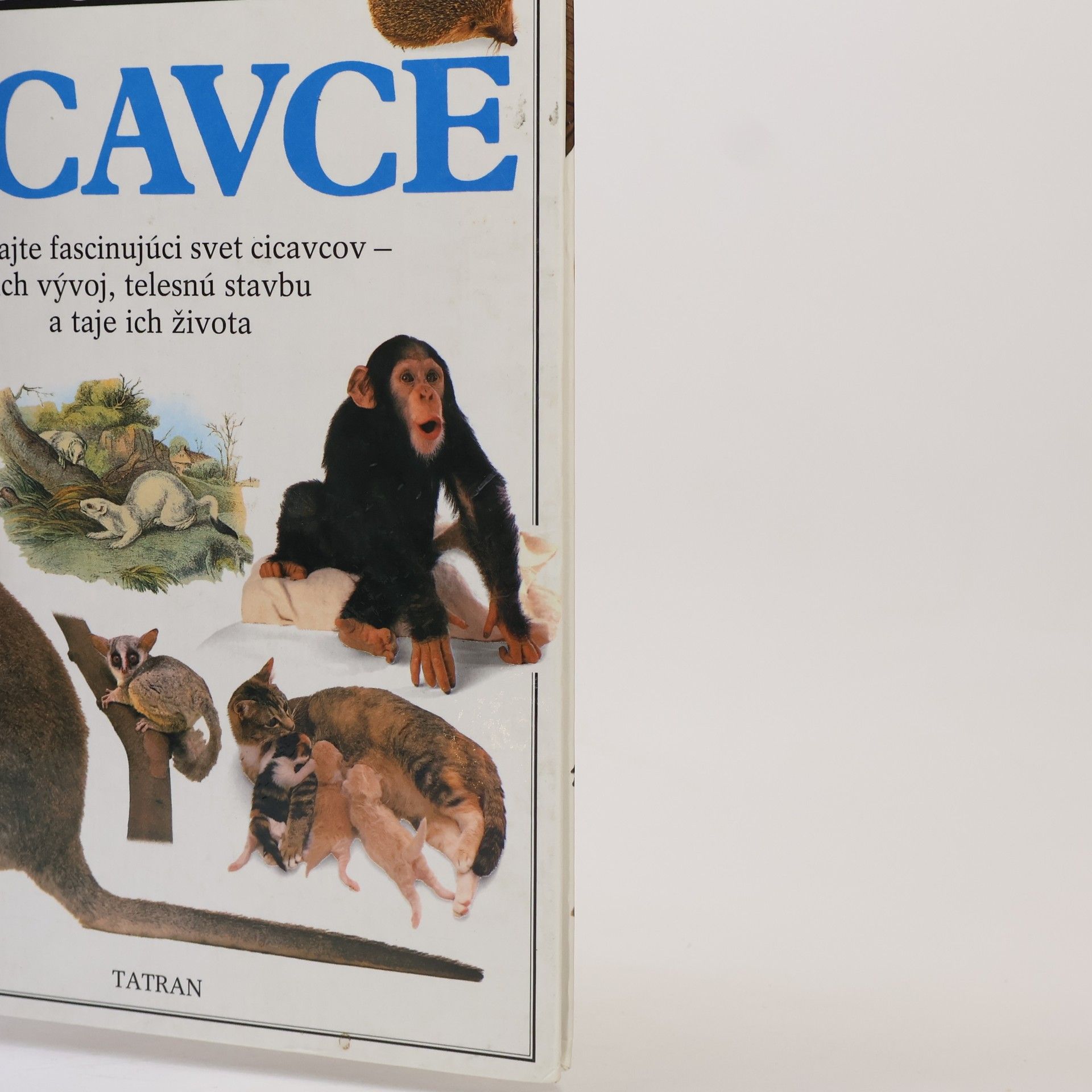 Steve Parker Cicavce
