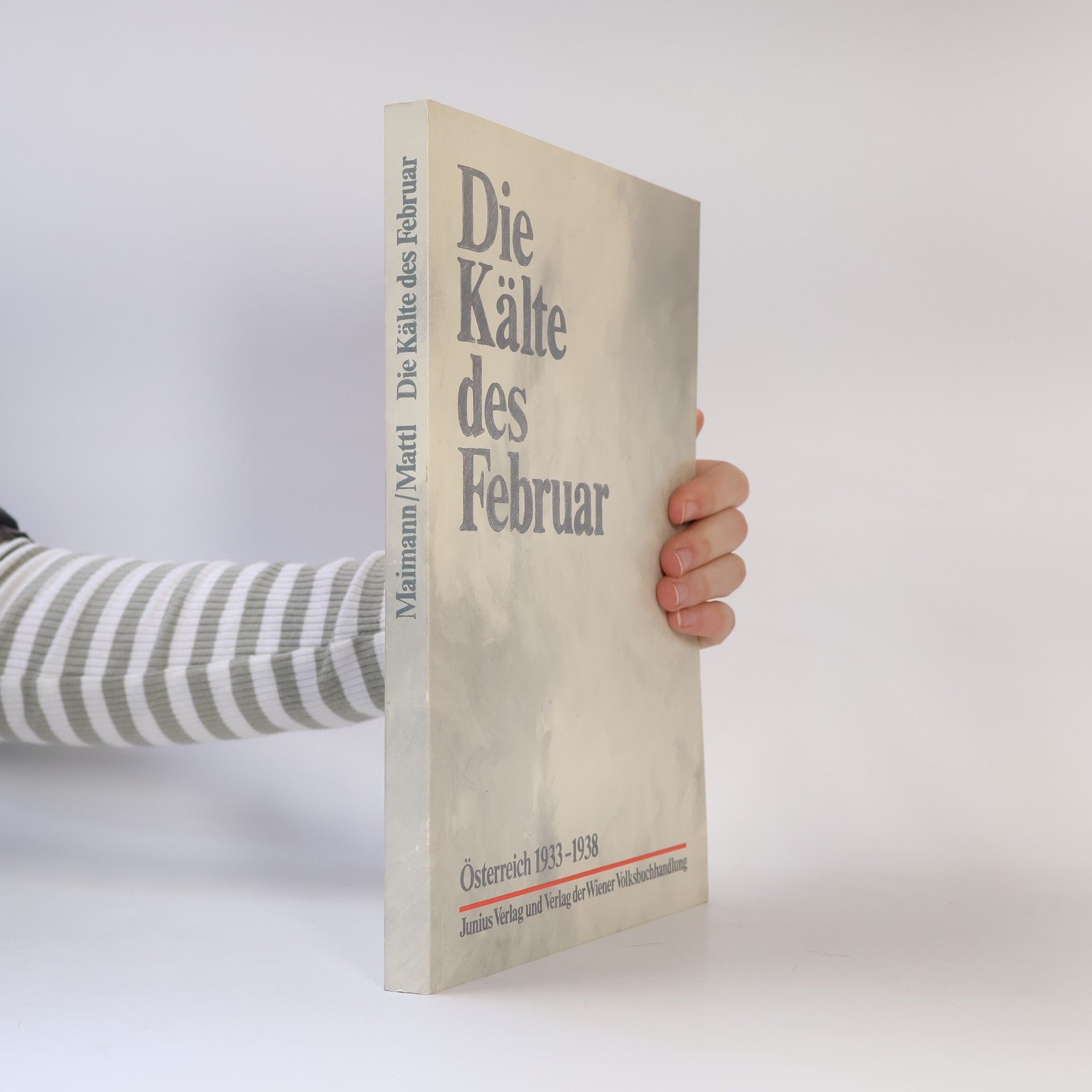 Helene Maimann Die Kälte des Februar