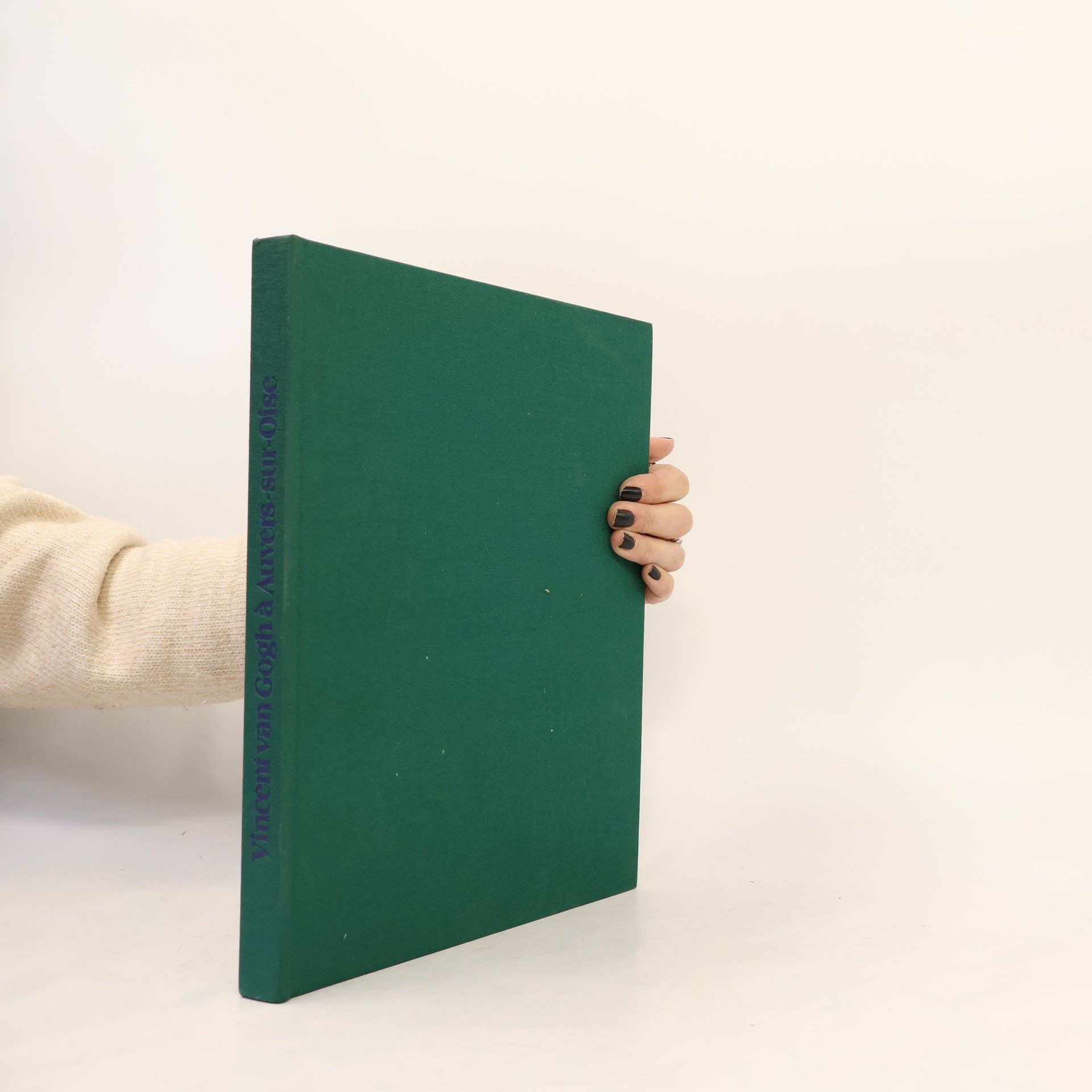 Alain Mothe Vincent van Gogh à Auvers-sur-Oise