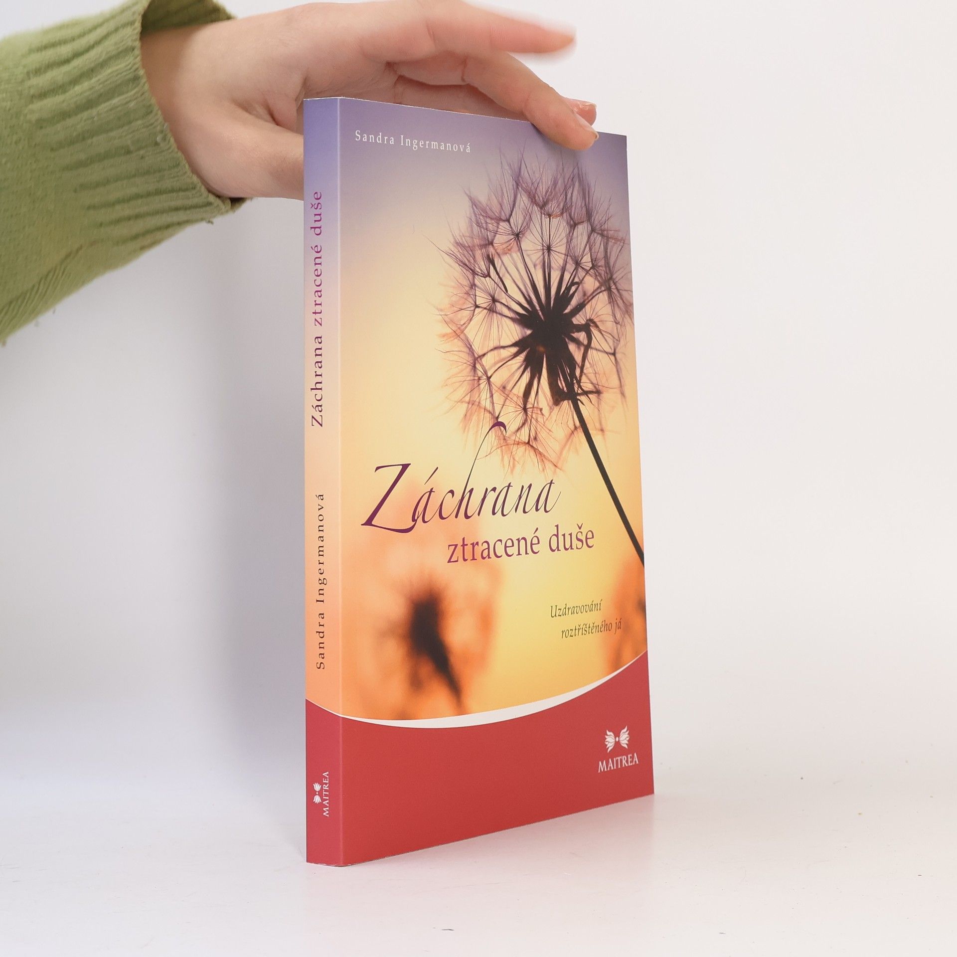 Záchrana ztracené duše. Uzdravování roztříštěného já