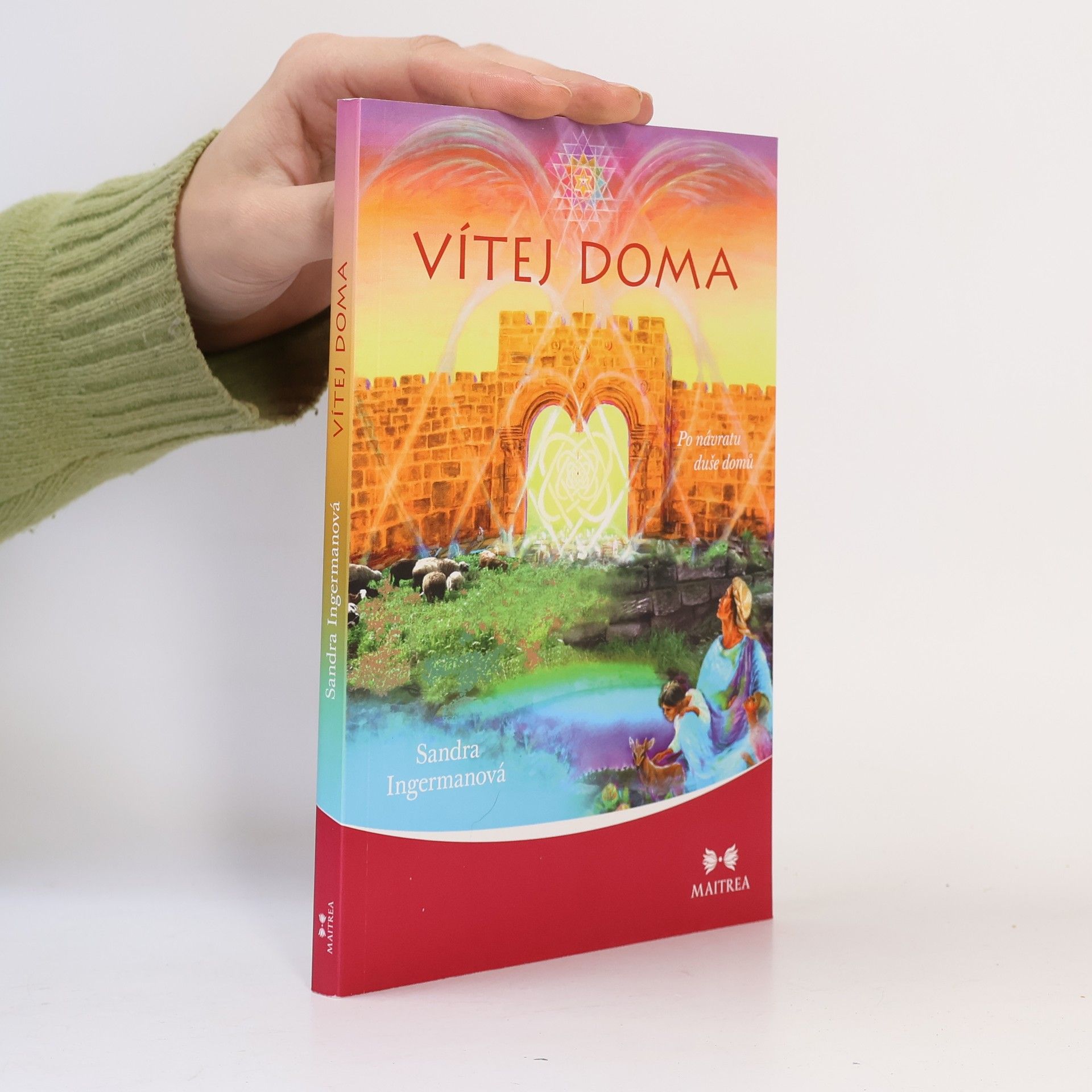 Sandra Ingerman Vítej doma - Po návratu duše domů