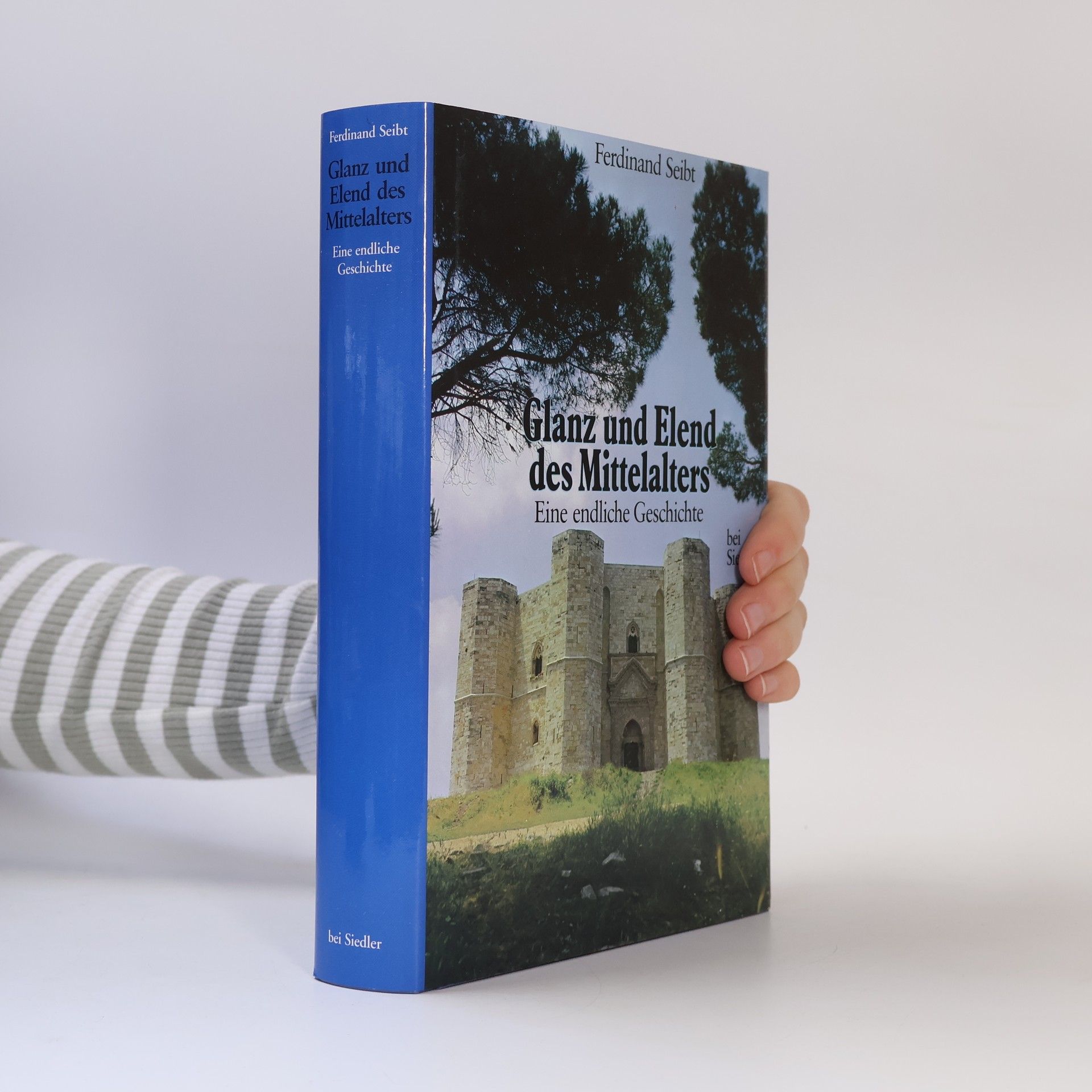 Ferdinand Seibt Glanz und Elend des Mittelalters. Eine endliche Geschichte