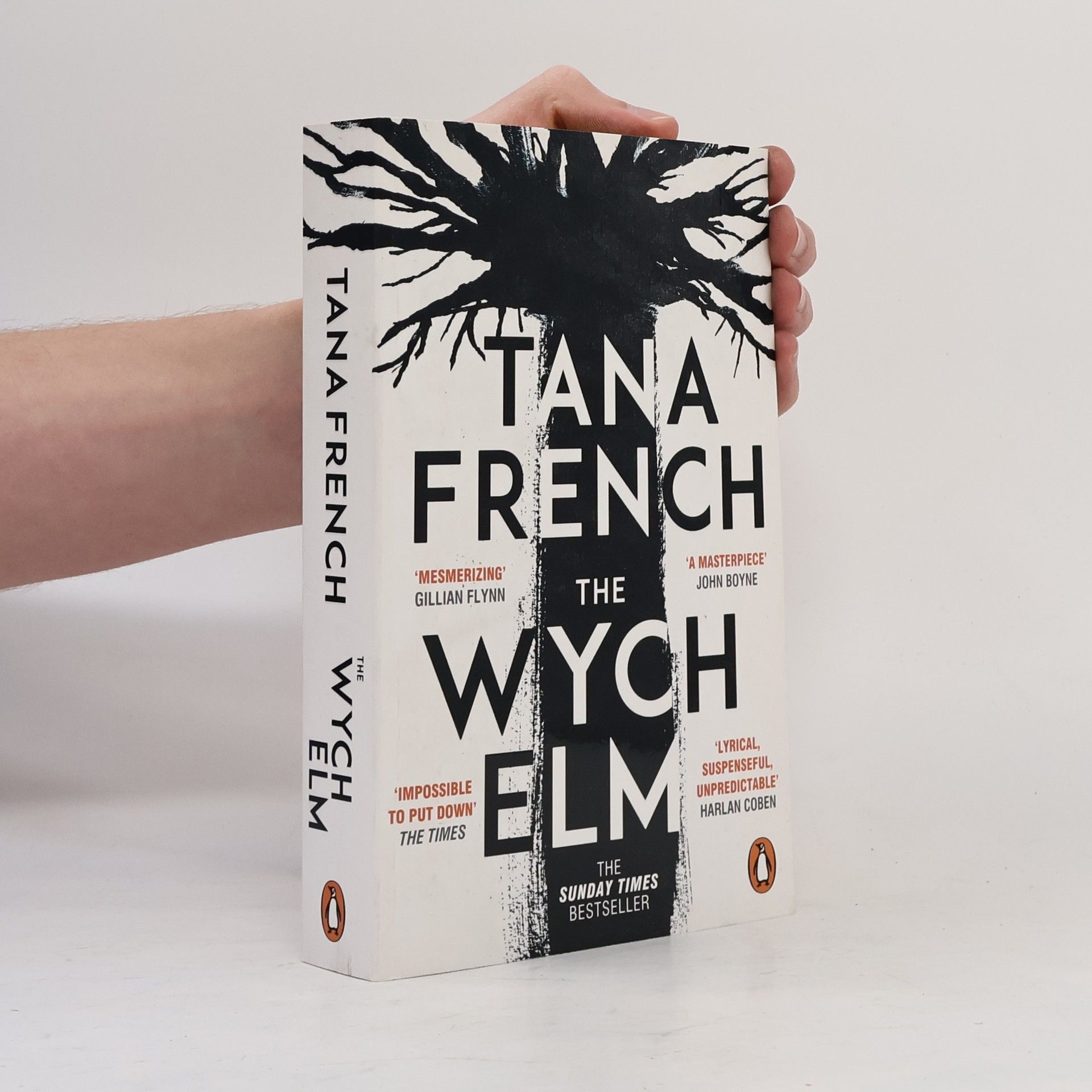 Tana French The Wych Elm