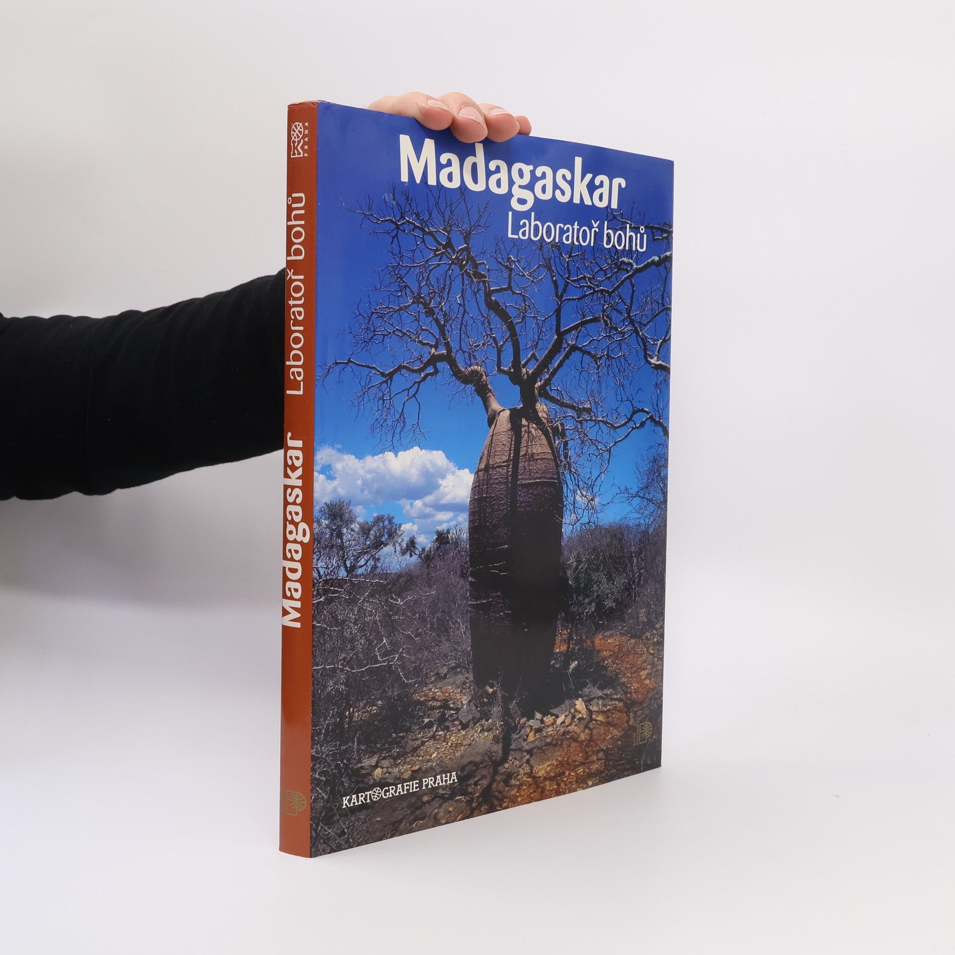 Růžena BeandapaKytlová Madagaskar : laboratoř bohů