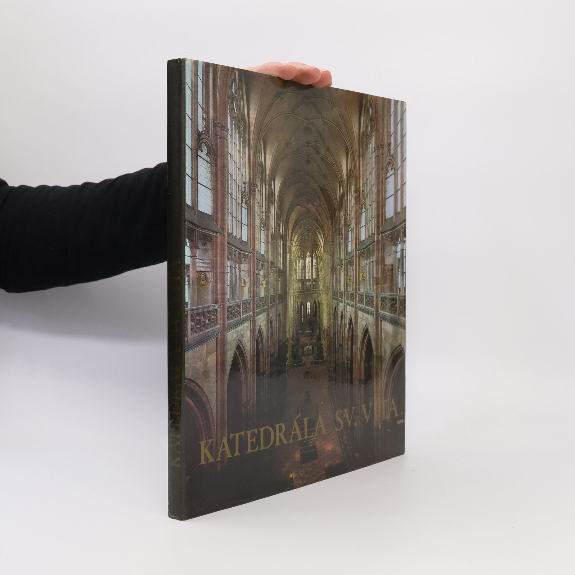 Jiří Burian Katedrála sv. Víta