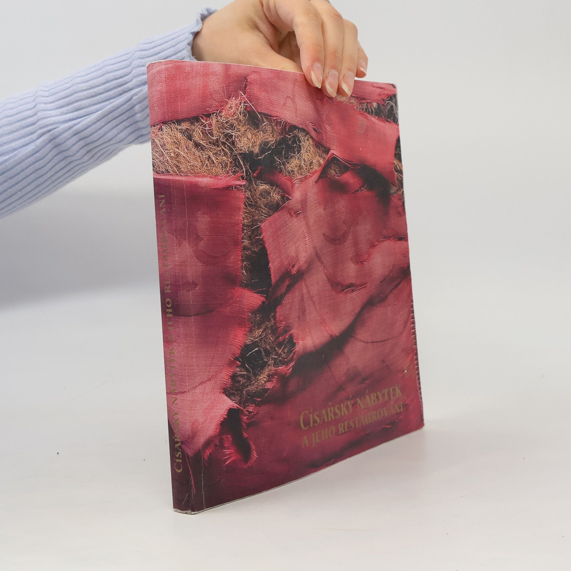 Autorenkollektiv Císařský nábytek a jeho restaurování