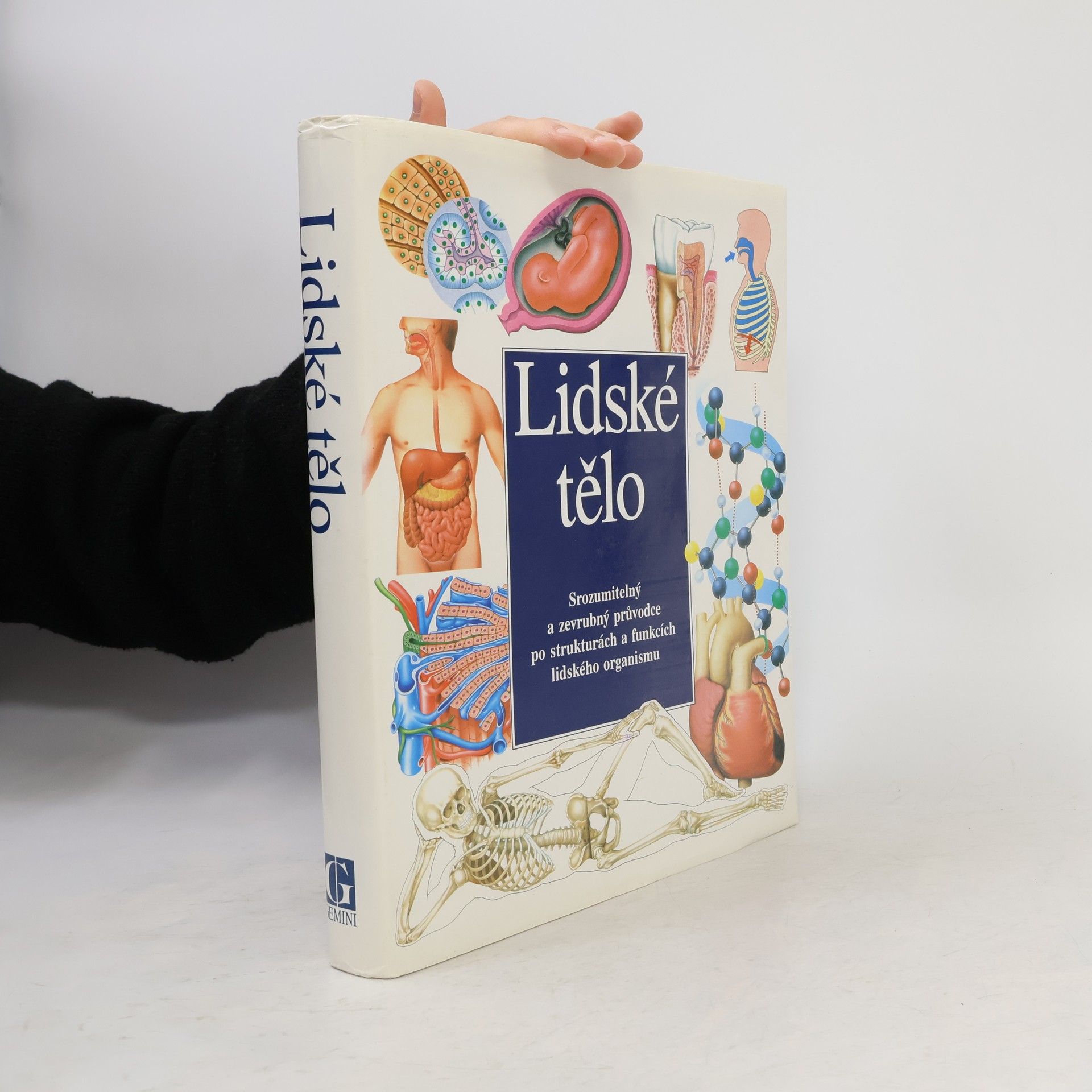 Autorenkollektiv Lidské tělo : Srozumitelný a zevrubný průvodce po strukturách a funkcích lidského organismu