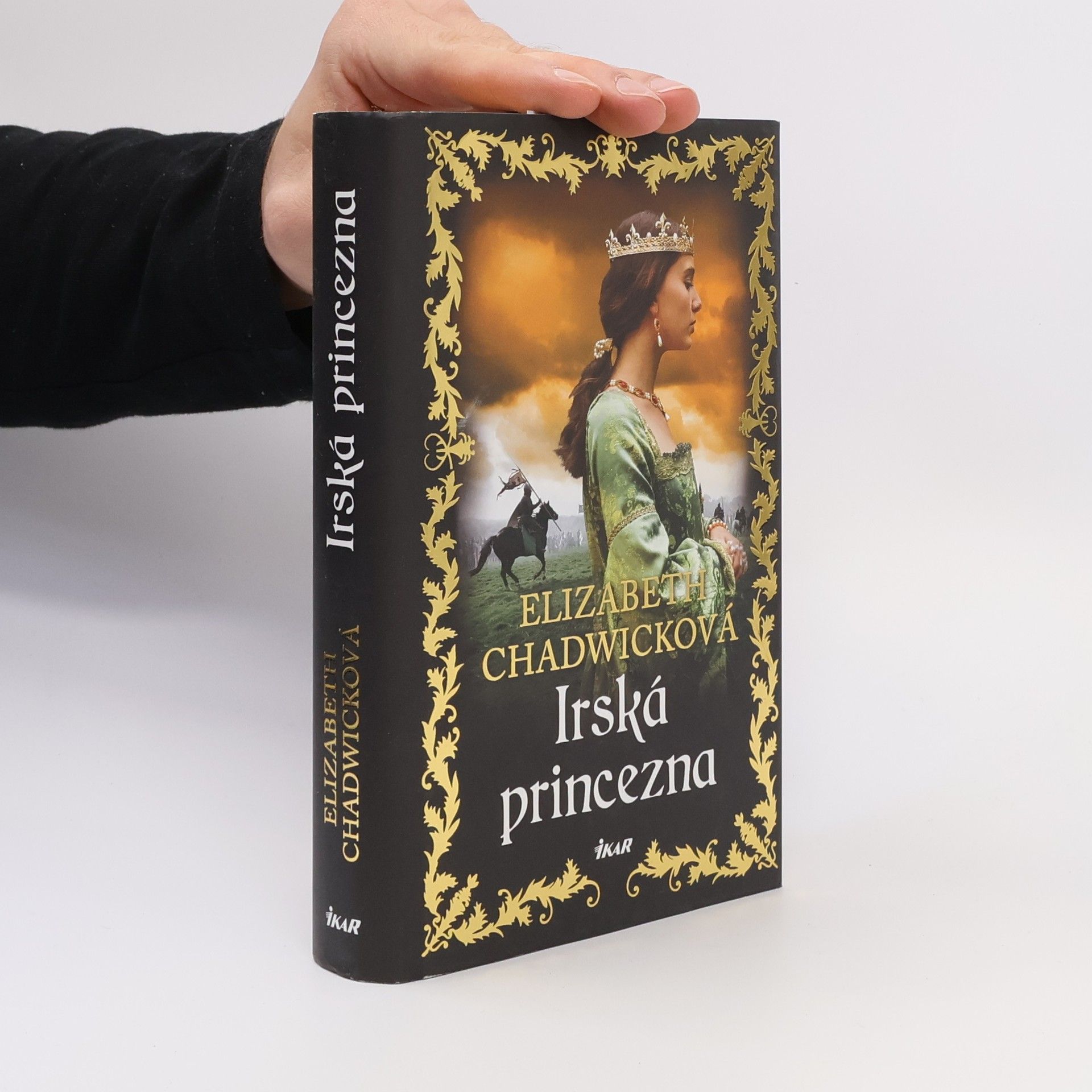 Elizabeth Chadwick Irská princezna