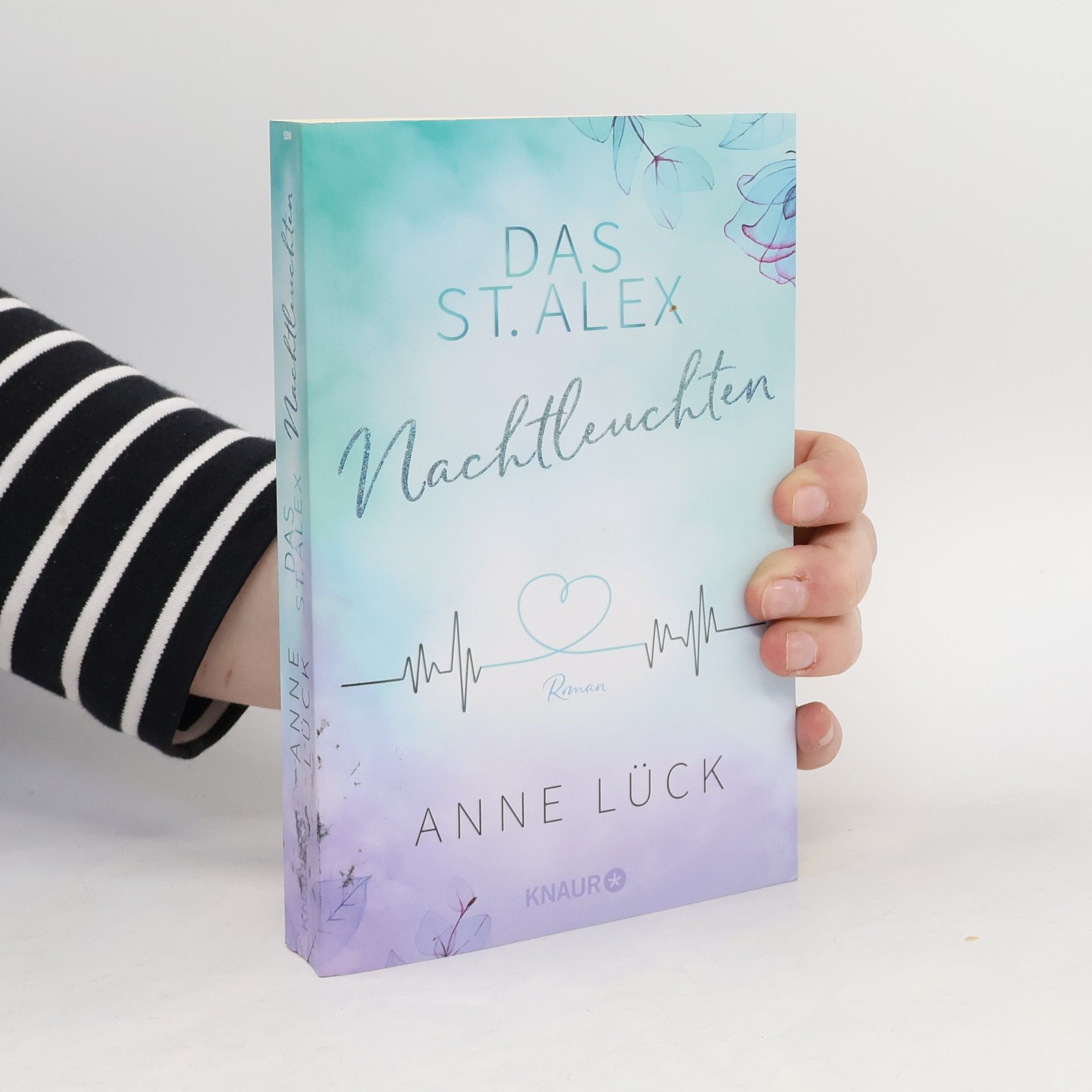 Anne Lück Das St. Alex - Nachtleuchten