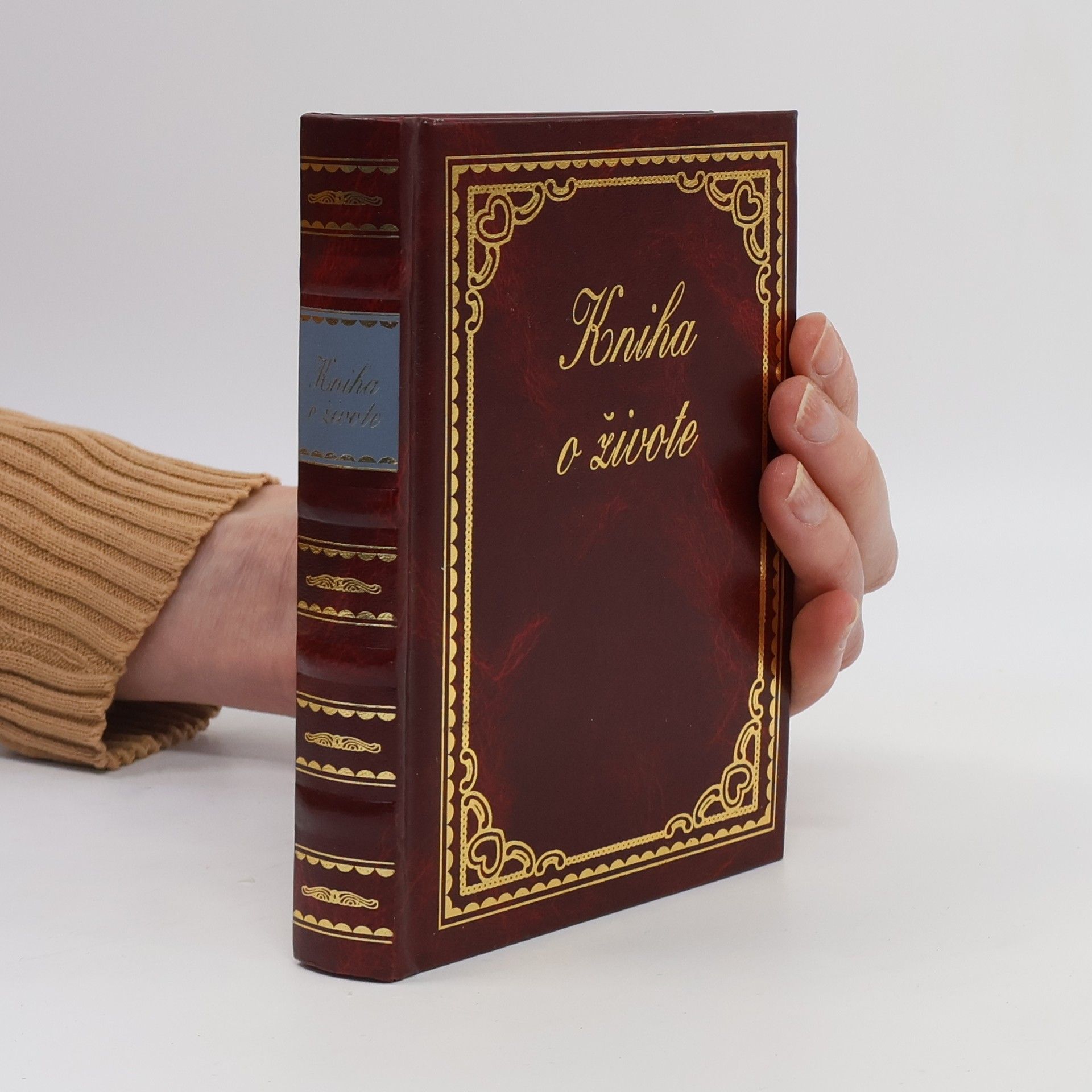 Lucia Jesenská Kniha o živote