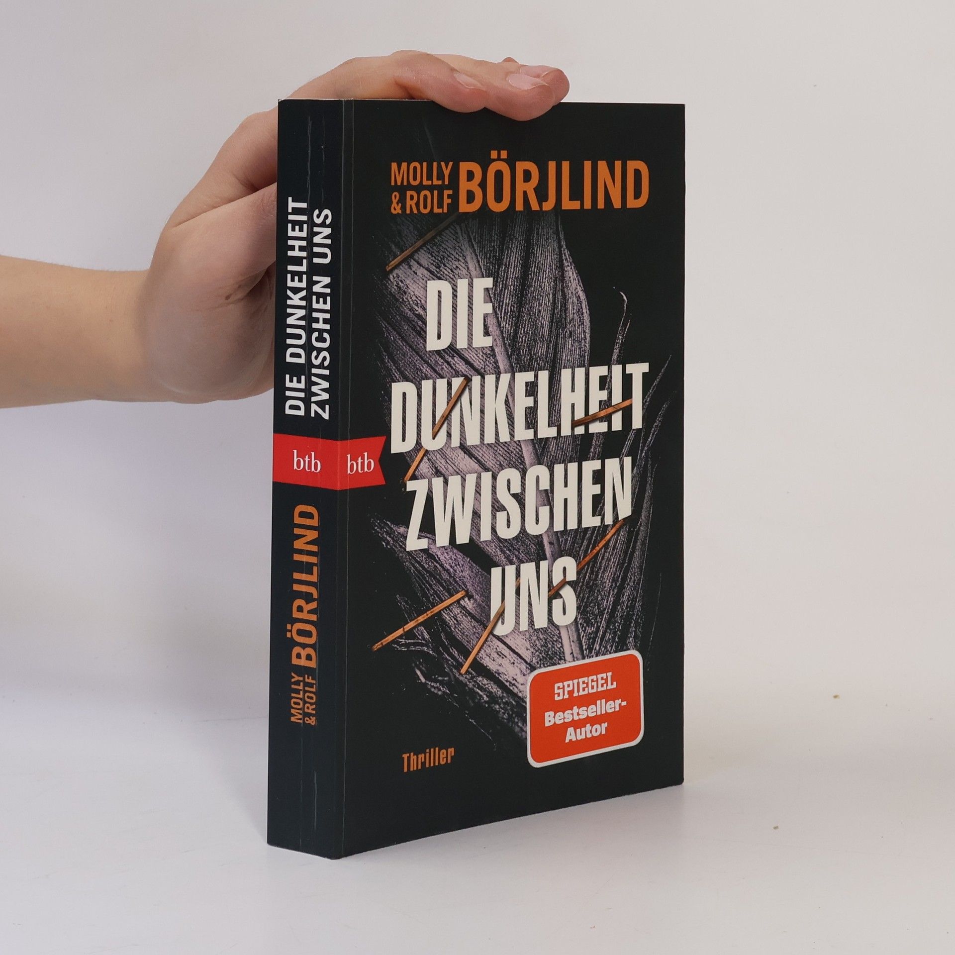 Molly Börjlind Die Dunkelheit zwischen uns