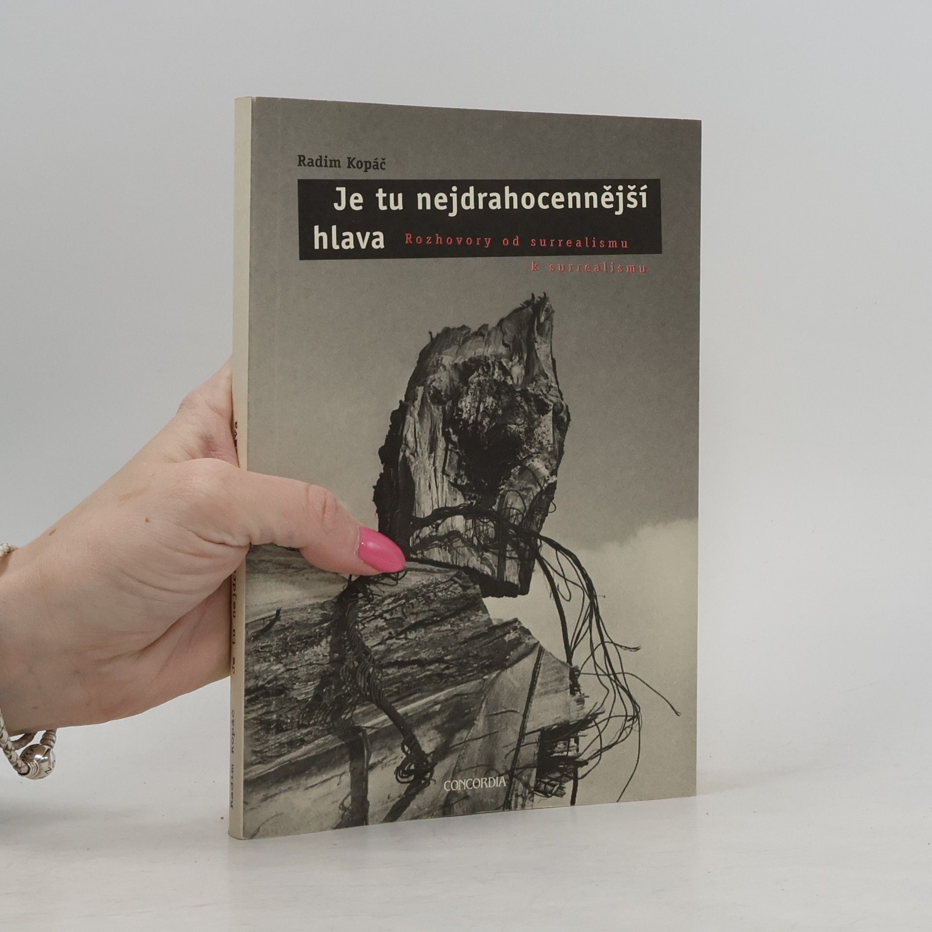 Je tu nejdrahocennější hlava. Rozhovory od surrealismu k surrealismu