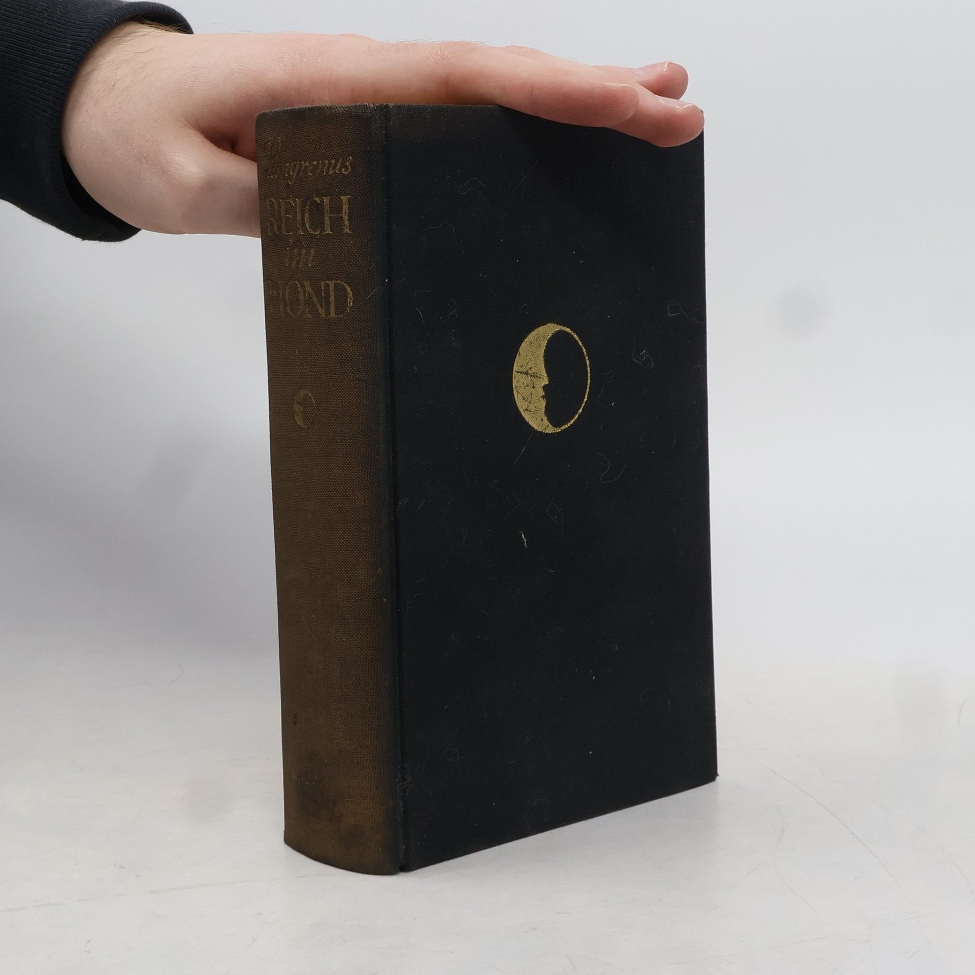 Manfred Langrenus Reich im Mond