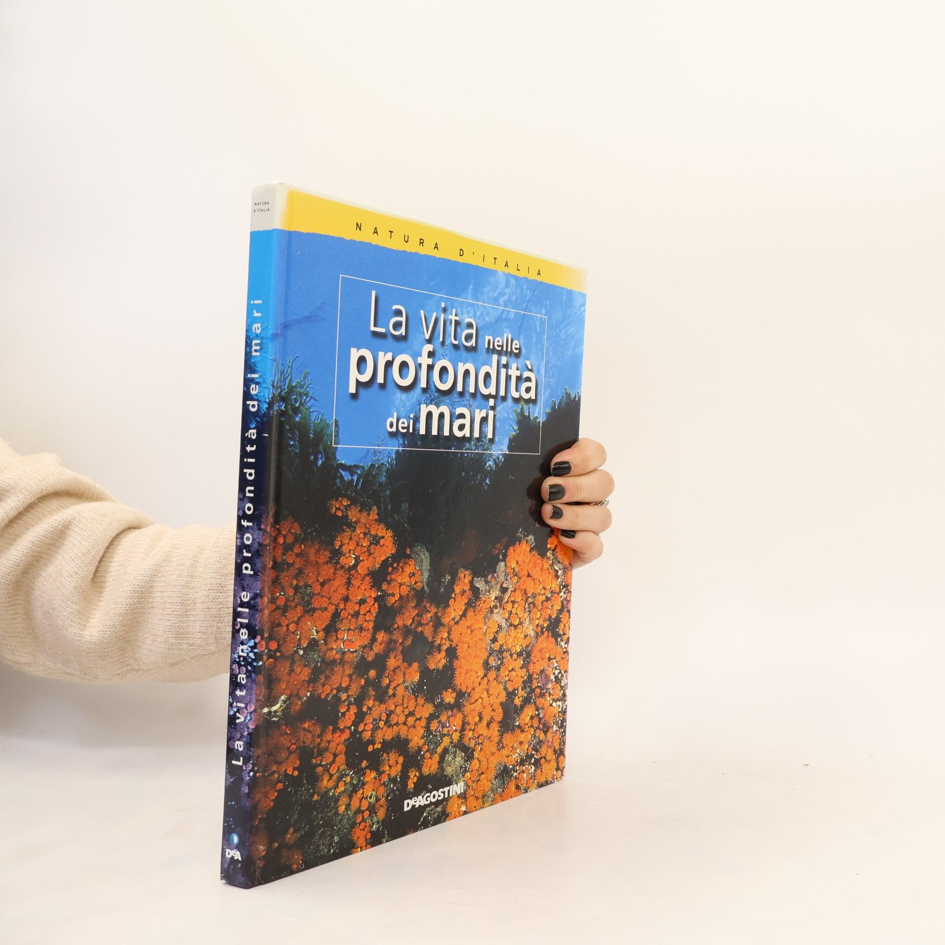 Autorenkollektiv Natura d'Italia: La vita nelle profondità dei mari