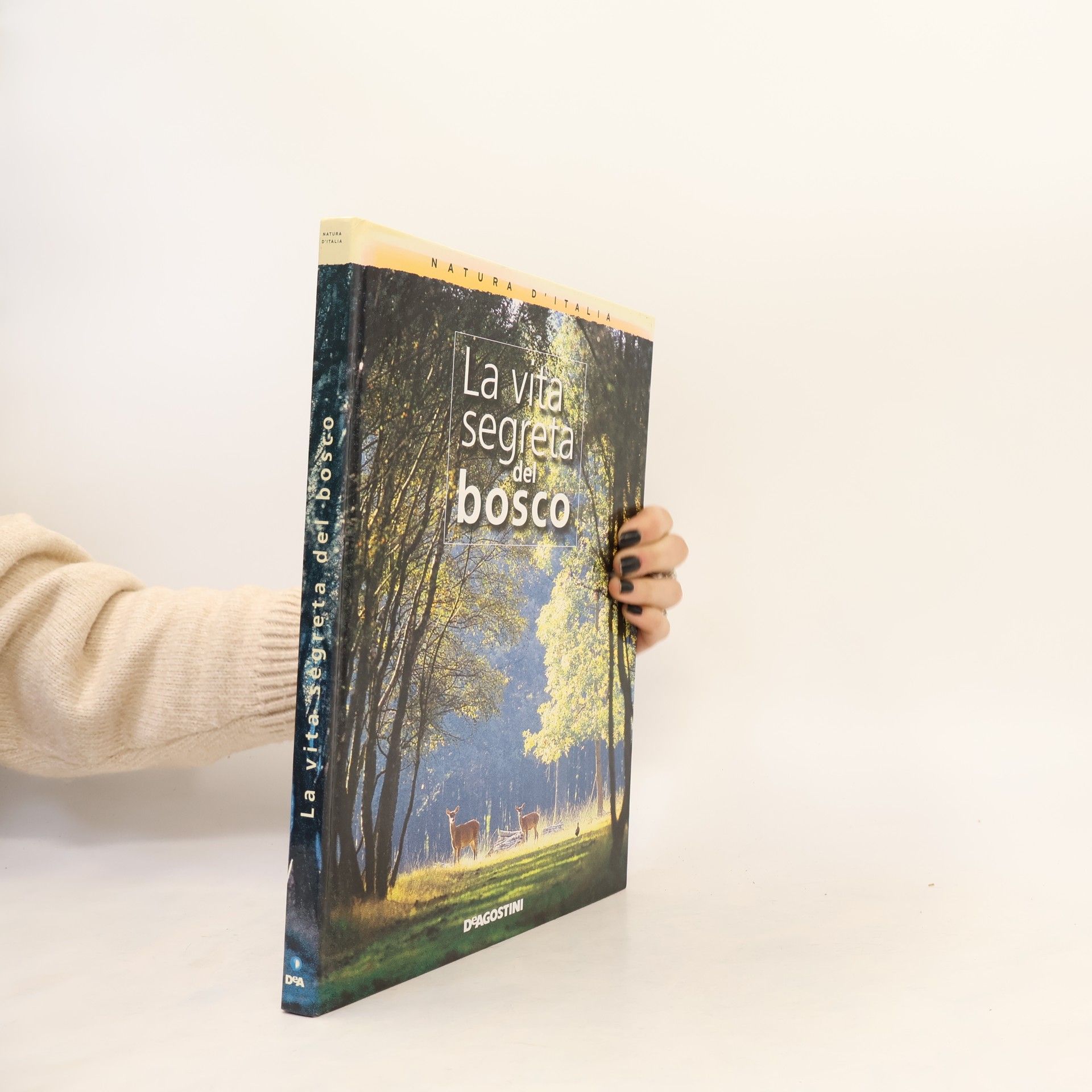 Autorenkollektiv La vita segreta del bosco