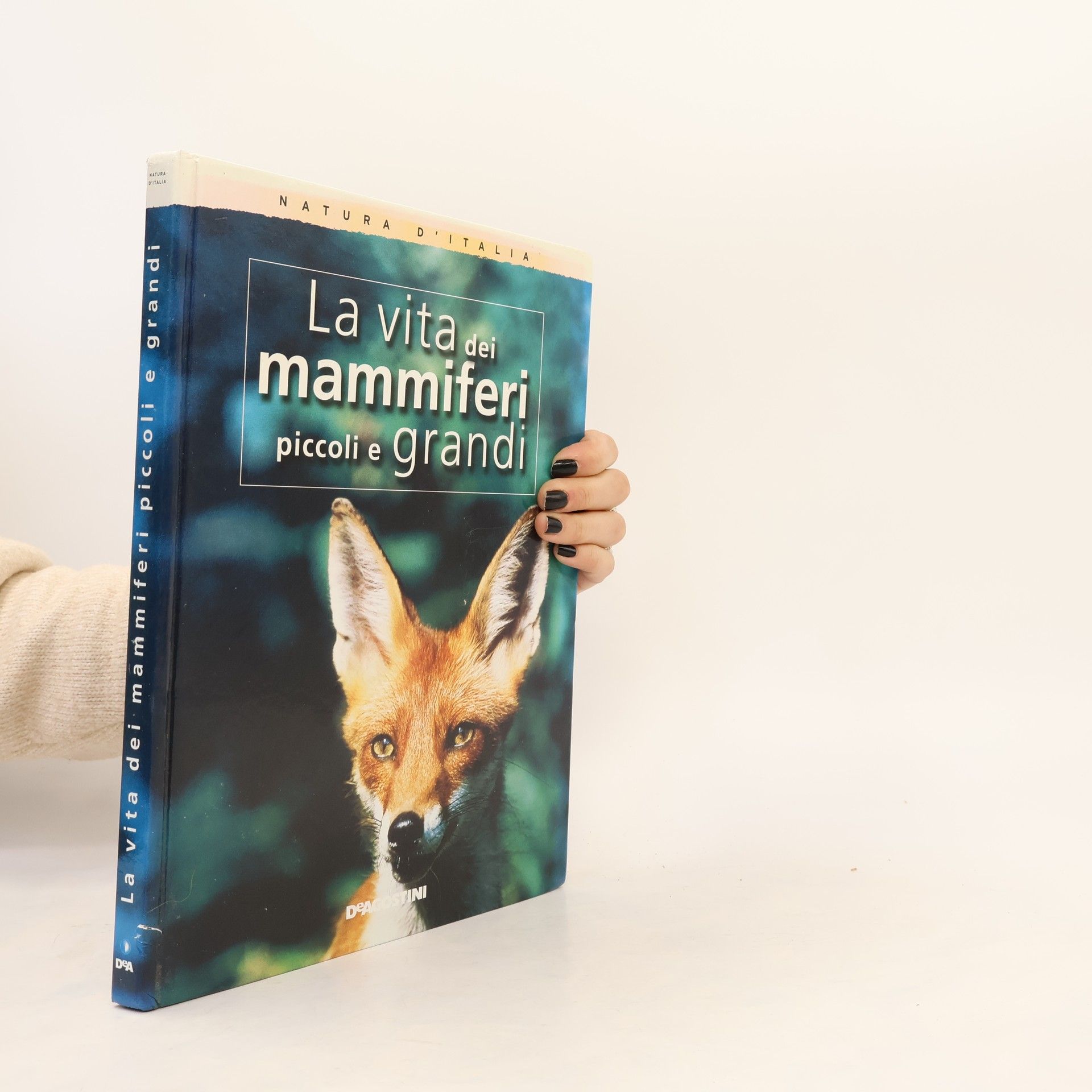 AA.VV. Natura d'Italia: La vita dei mammiferi piccoli e grandi