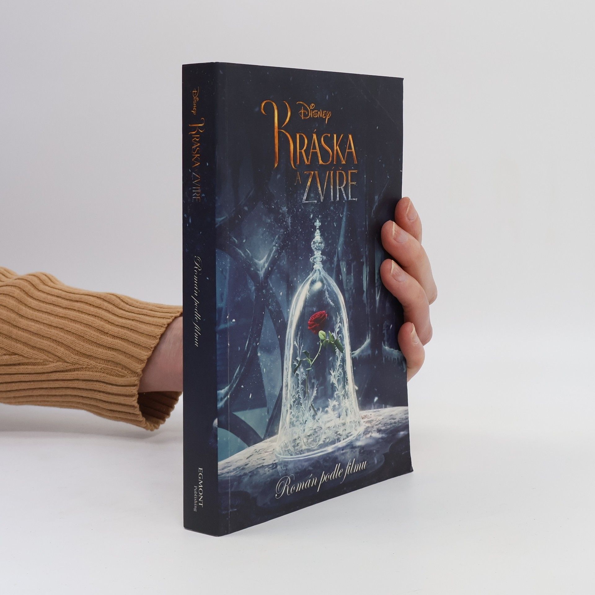 Elizabeth Rudnick Kráska a Zvíře