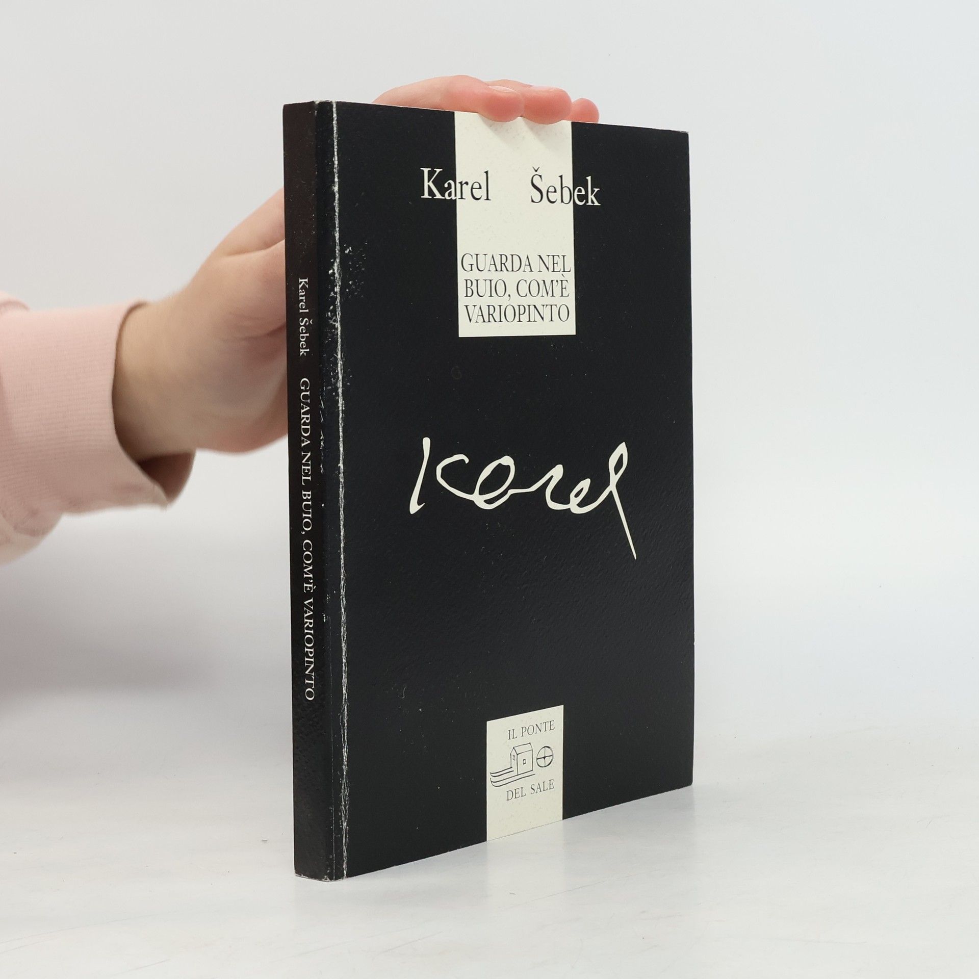 Il labirinto del mondo: Guarda nel buio, com'è variopinto