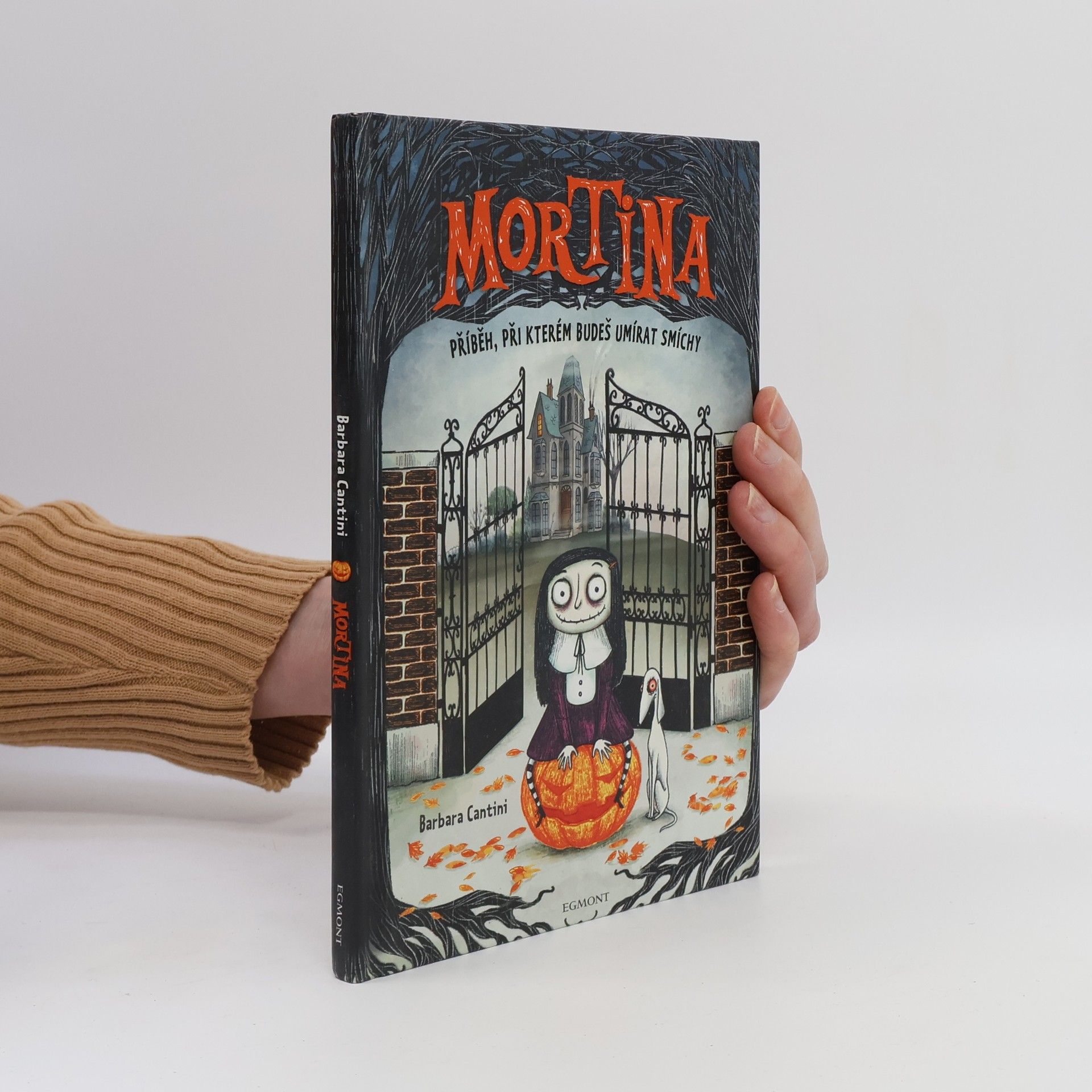 Barbara Cantini Mortina