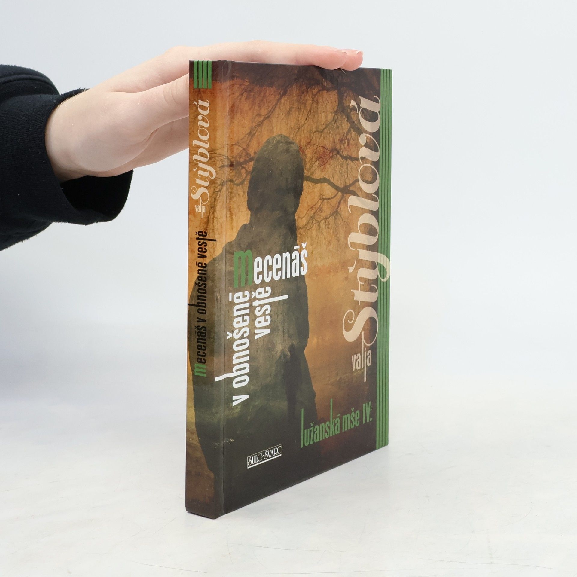 Mecenáš v obnošené vestě