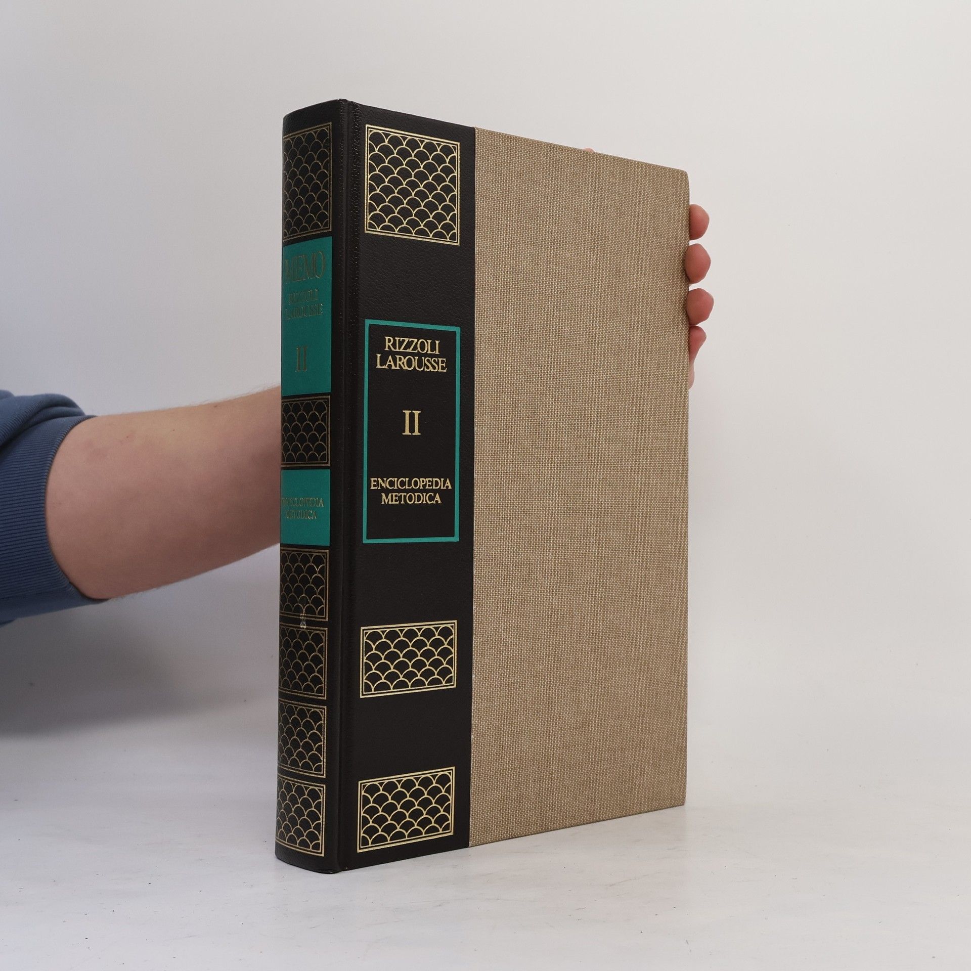 Various authors Rizzoli Larousse II