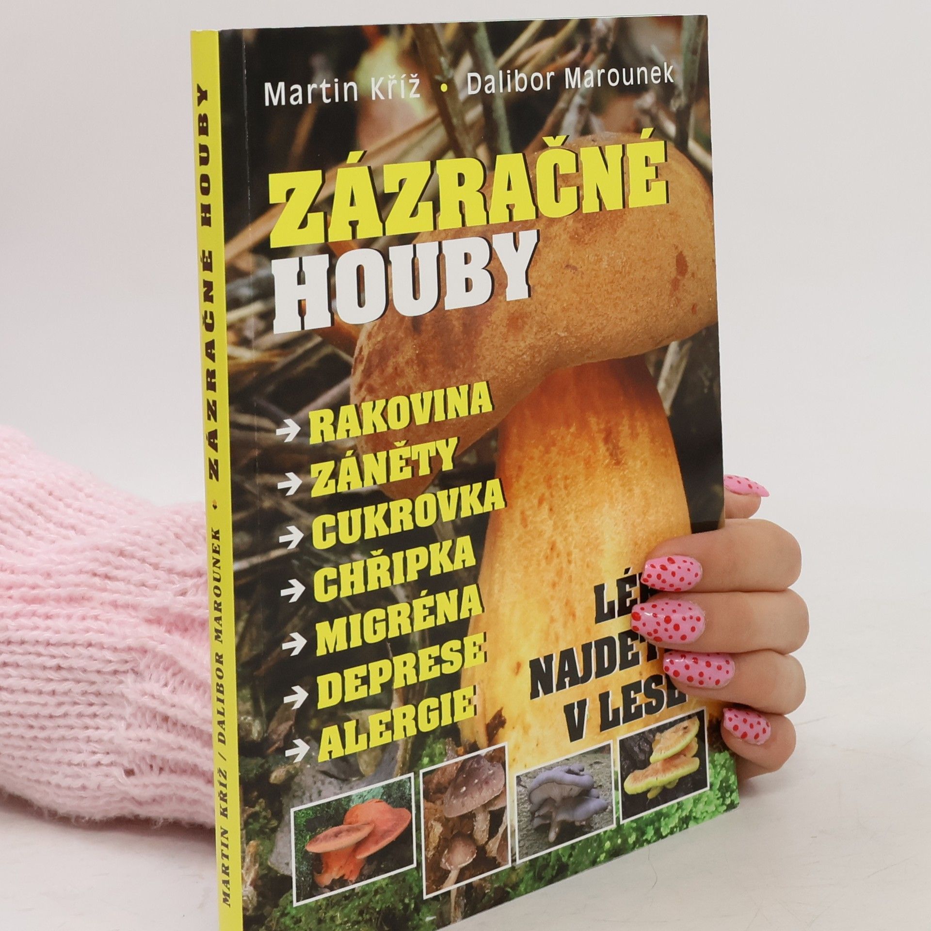 Zázračné houby : rakovina, záněty, cukrovka, chřipka, migréna, deprese, alergie : léky najdete v lese