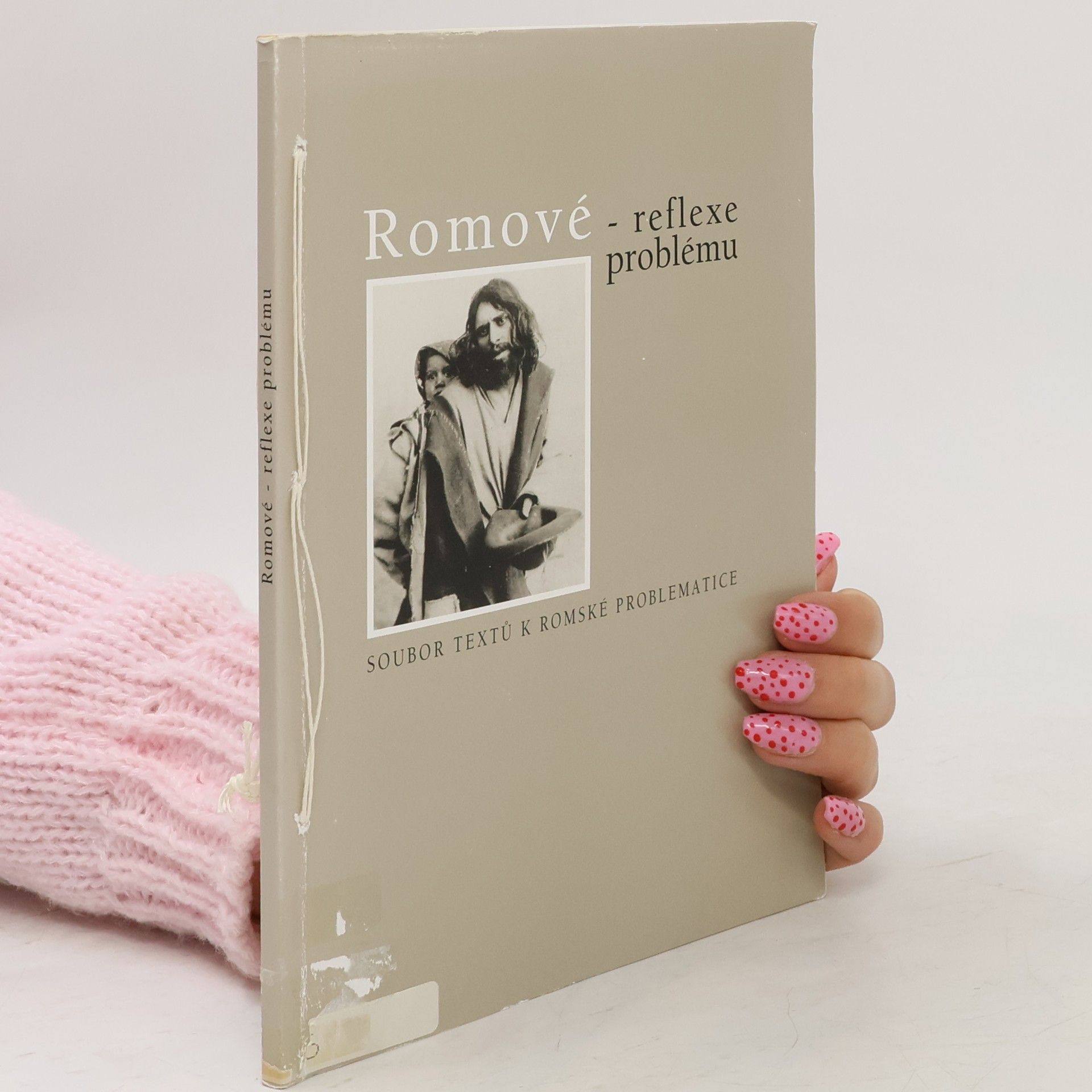 Kolektív autorov Romové. Reflexe problému