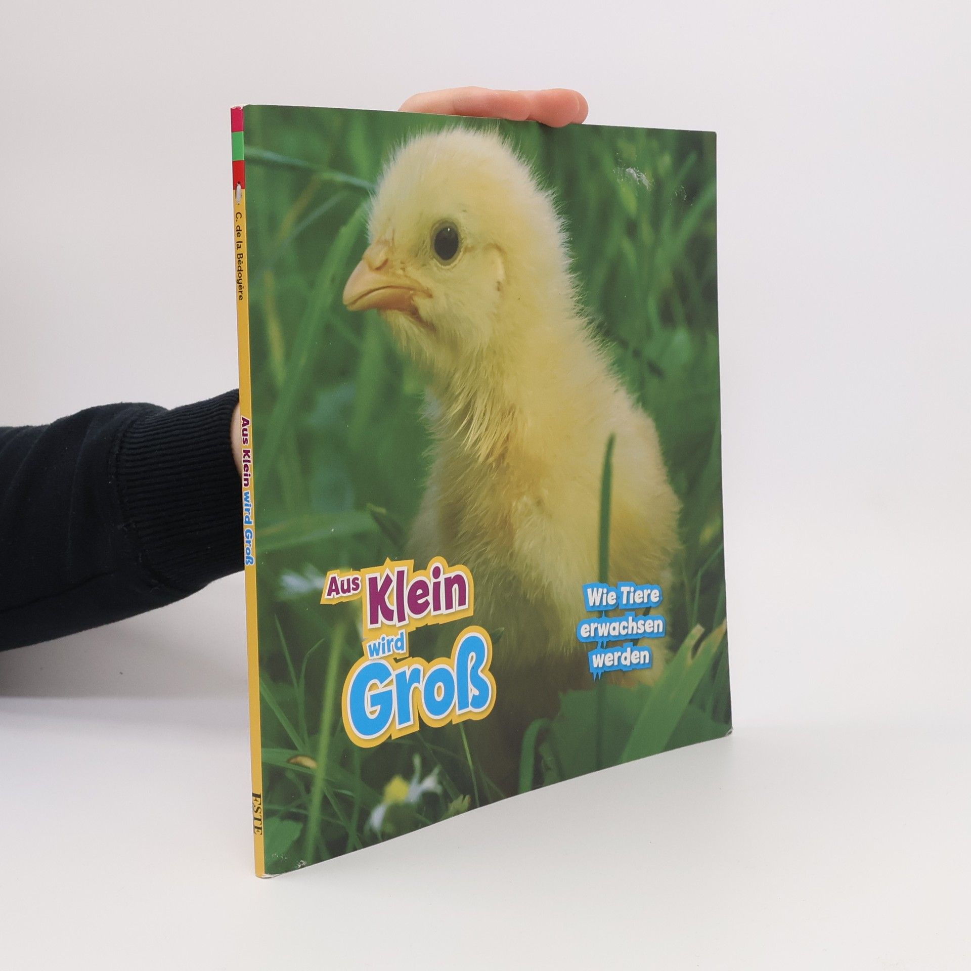 Camilla De la Bédoyère Aus Klein wird Groß