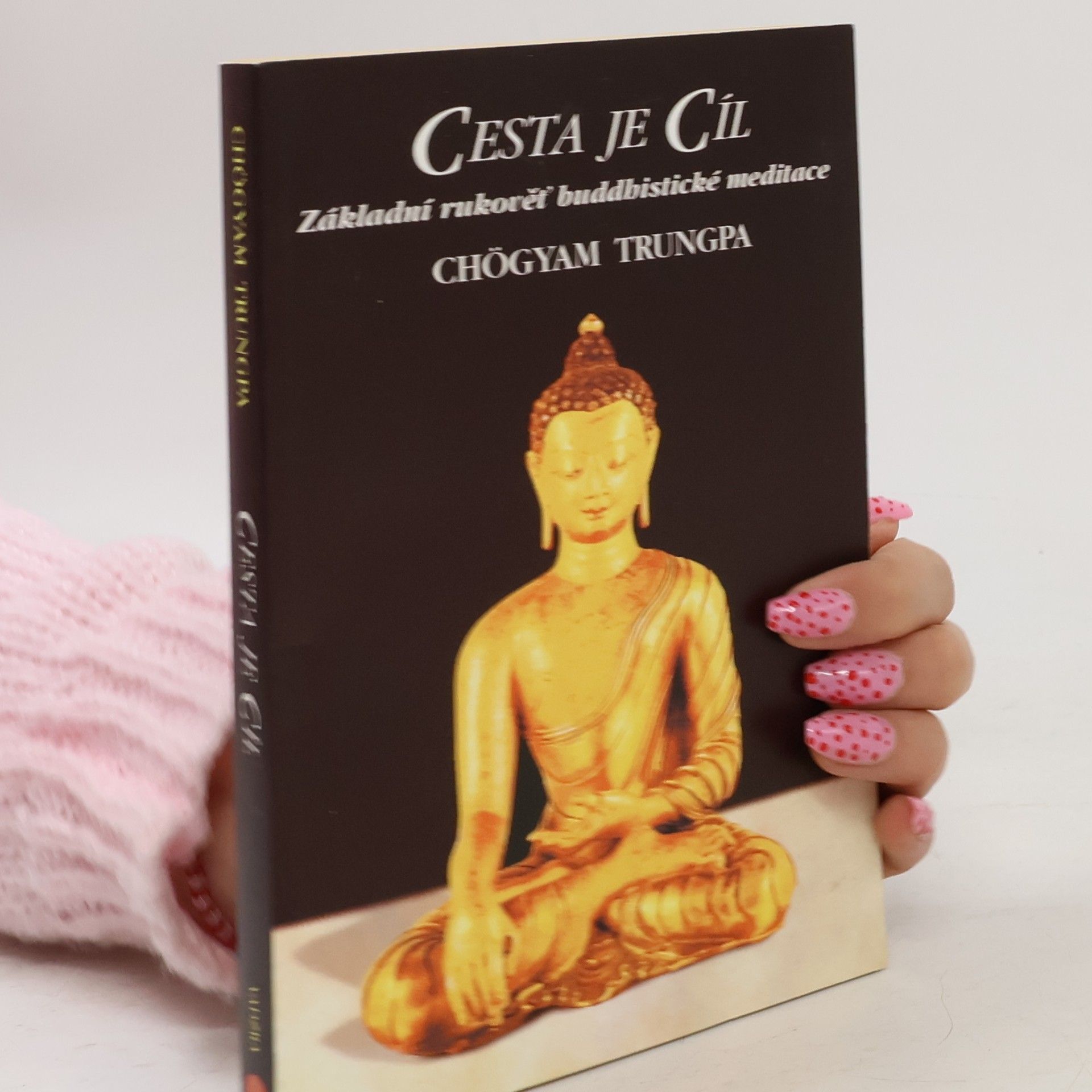 Sherab Chödzin Cesta je Cíl : základní rukověť buddhistické meditace