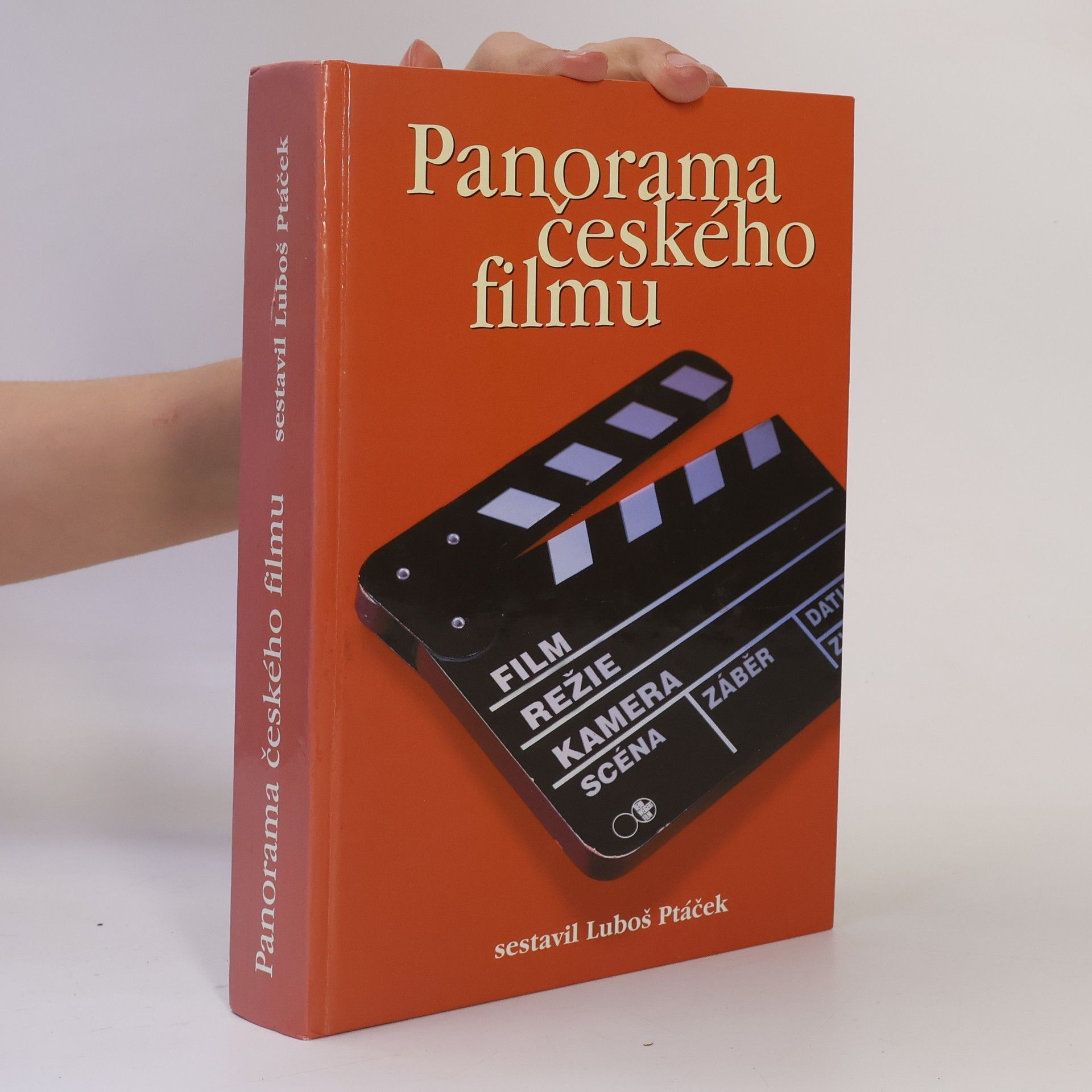 Petr Bilík Panorama českého filmu