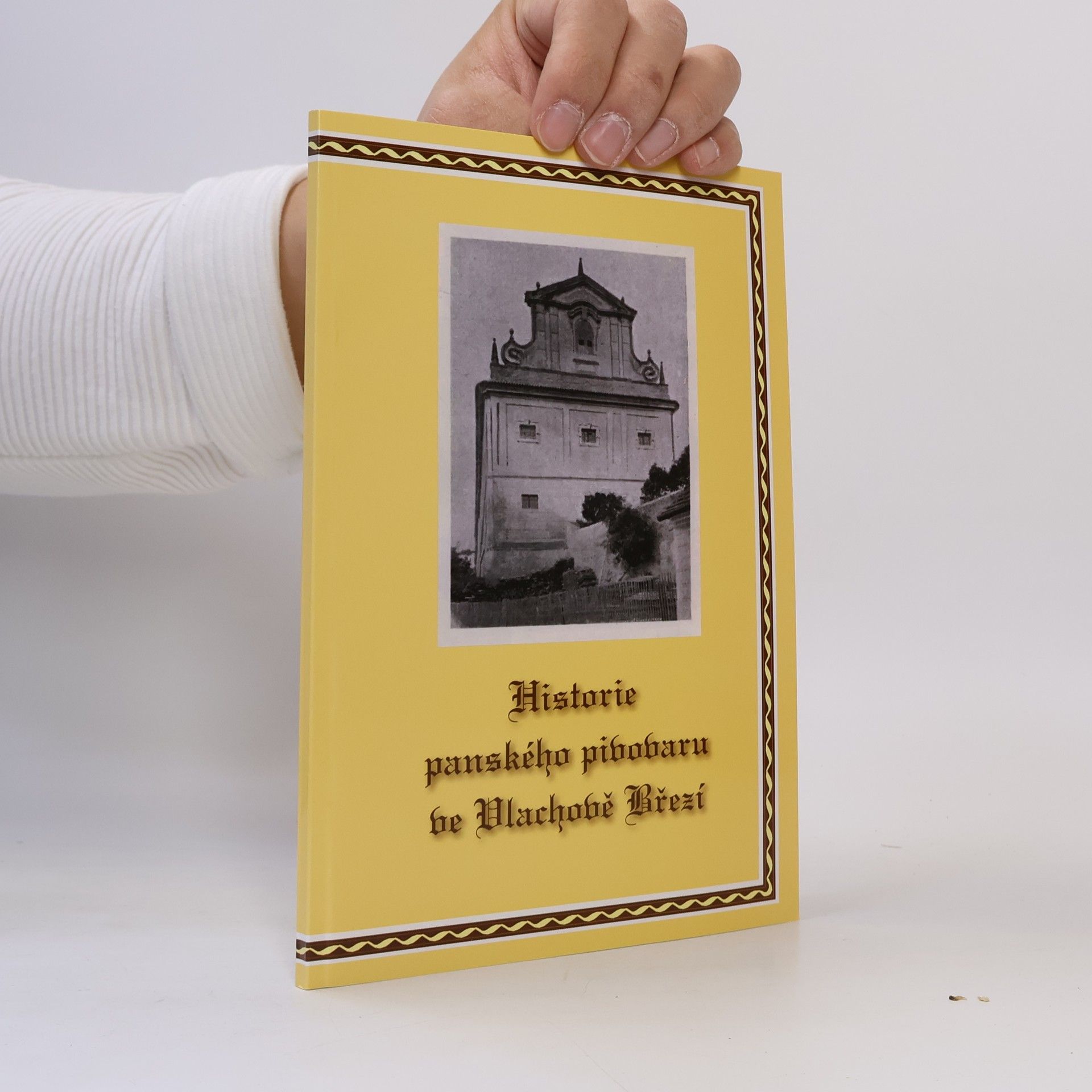 Collectif d'auteurs Historie panského pivovaru ve Vlachově Březí