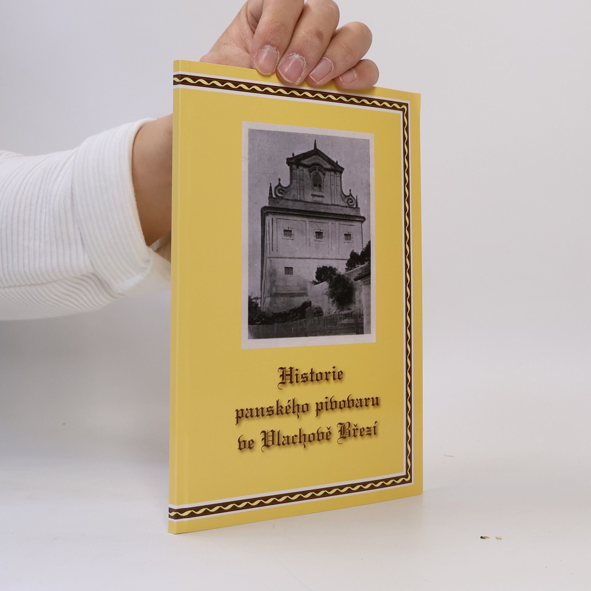 Autorenkollektiv Historie panského pivovaru ve Vlachově Březí