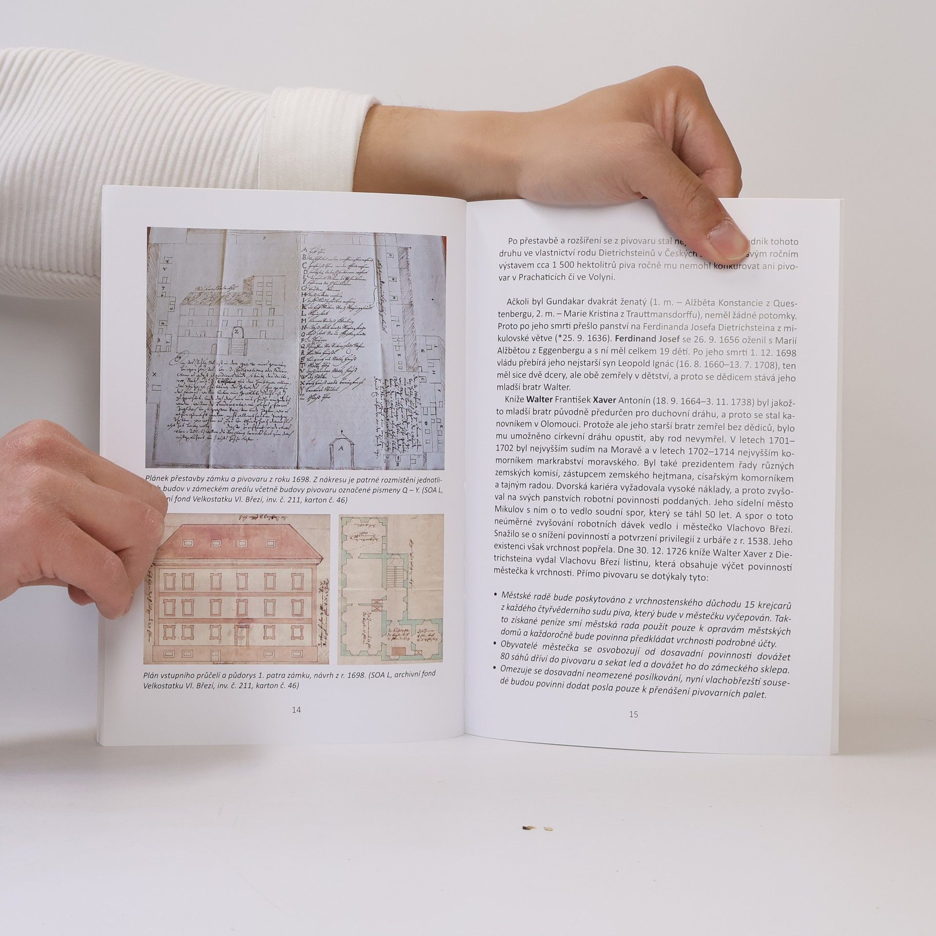 Autorenkollektiv Historie panského pivovaru ve Vlachově Březí