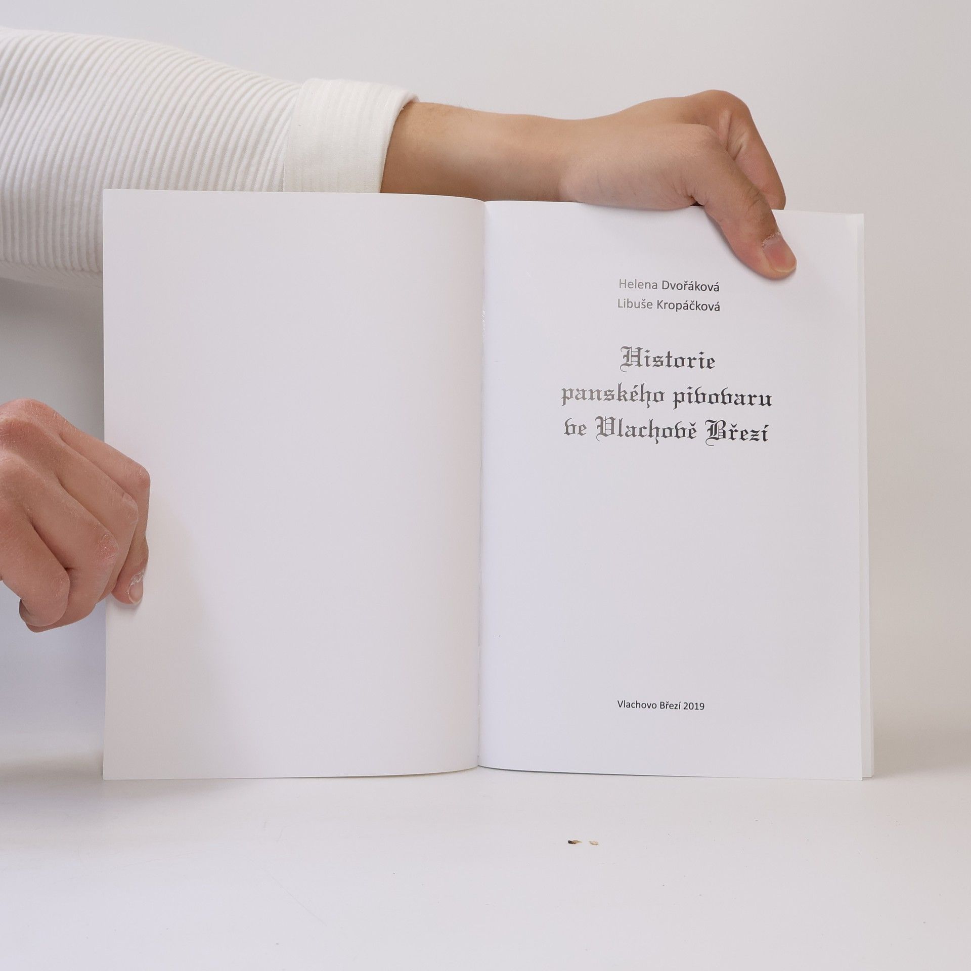 Autorenkollektiv Historie panského pivovaru ve Vlachově Březí