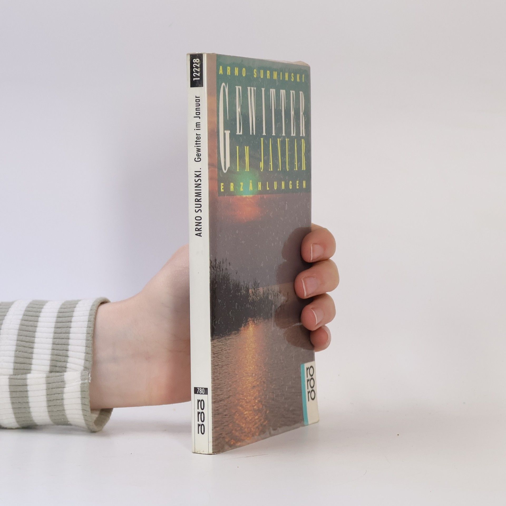 Arno Surminski Gewitter im Januar