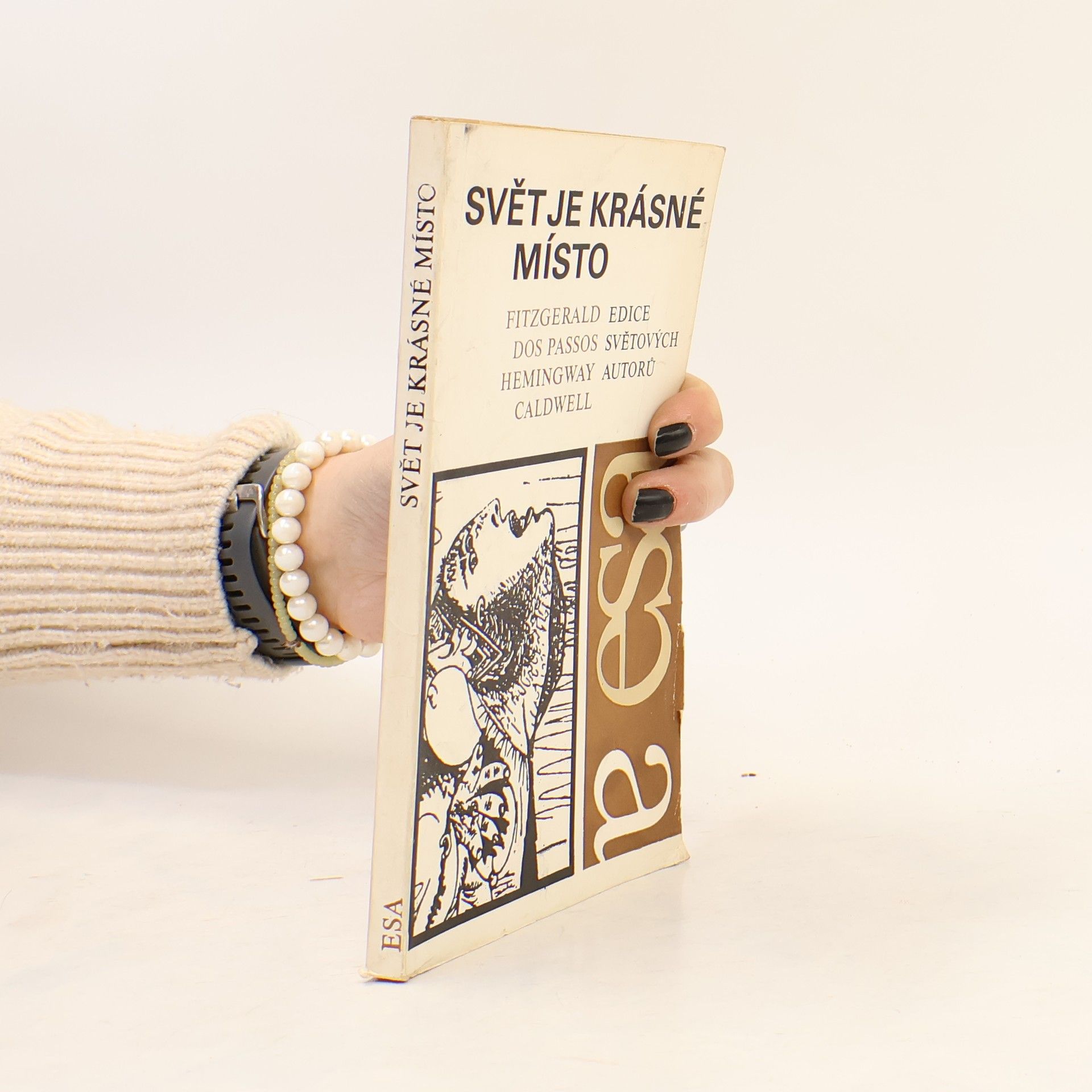 Kolektiv autorů Svět je krásné místo