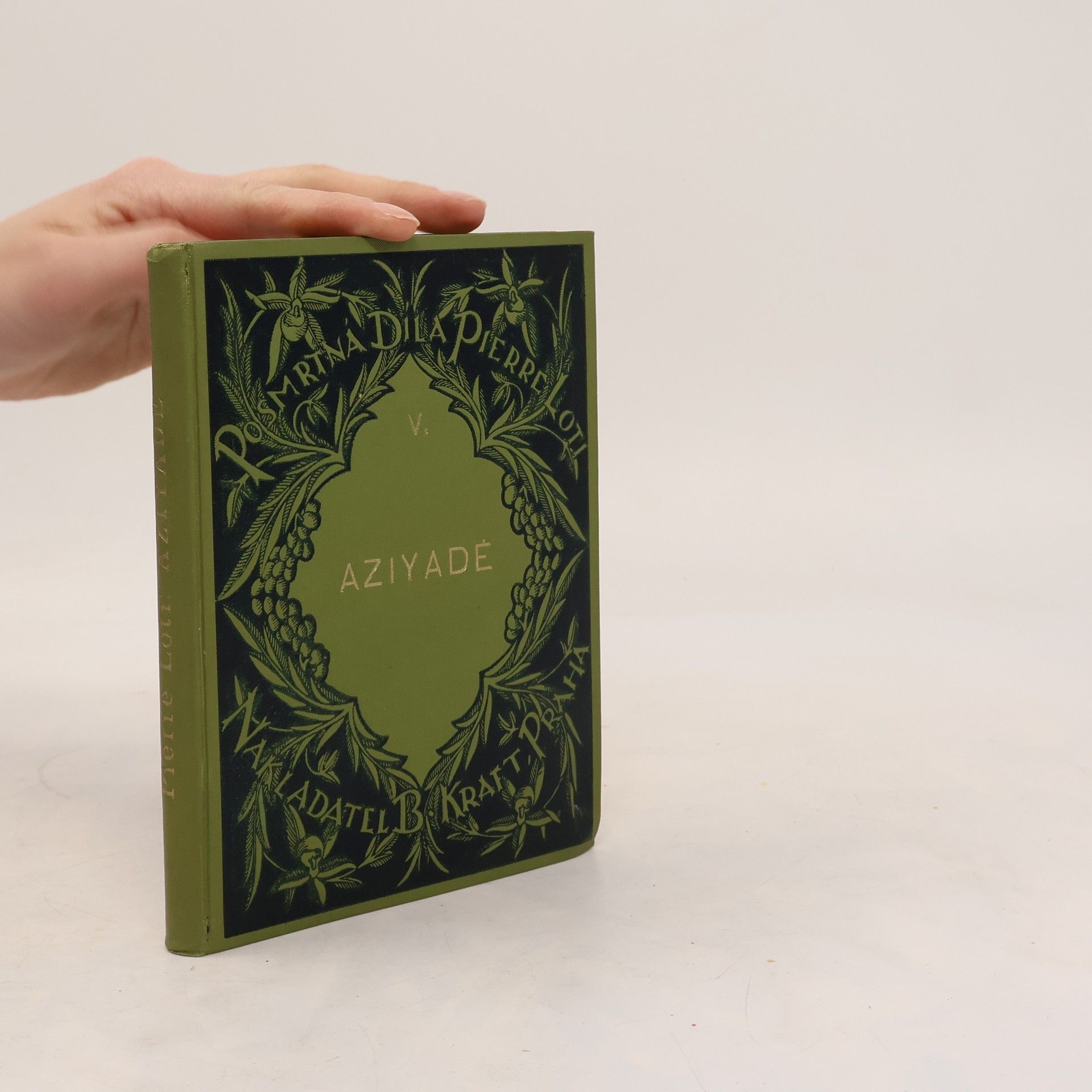 Pierre Loti Poslední dni Pekingu