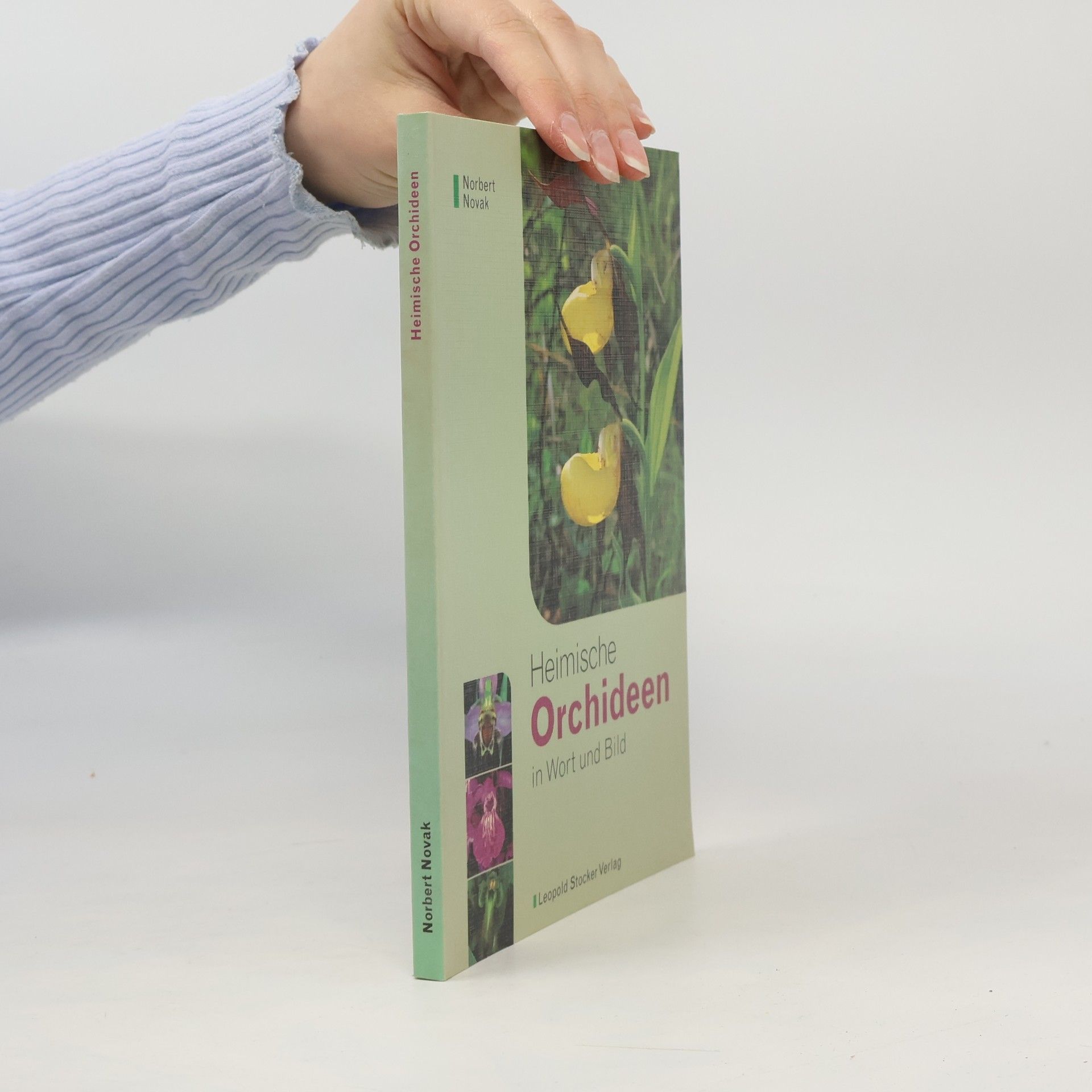 Norbert Novak Heimische Orchideen in Wort und Bild