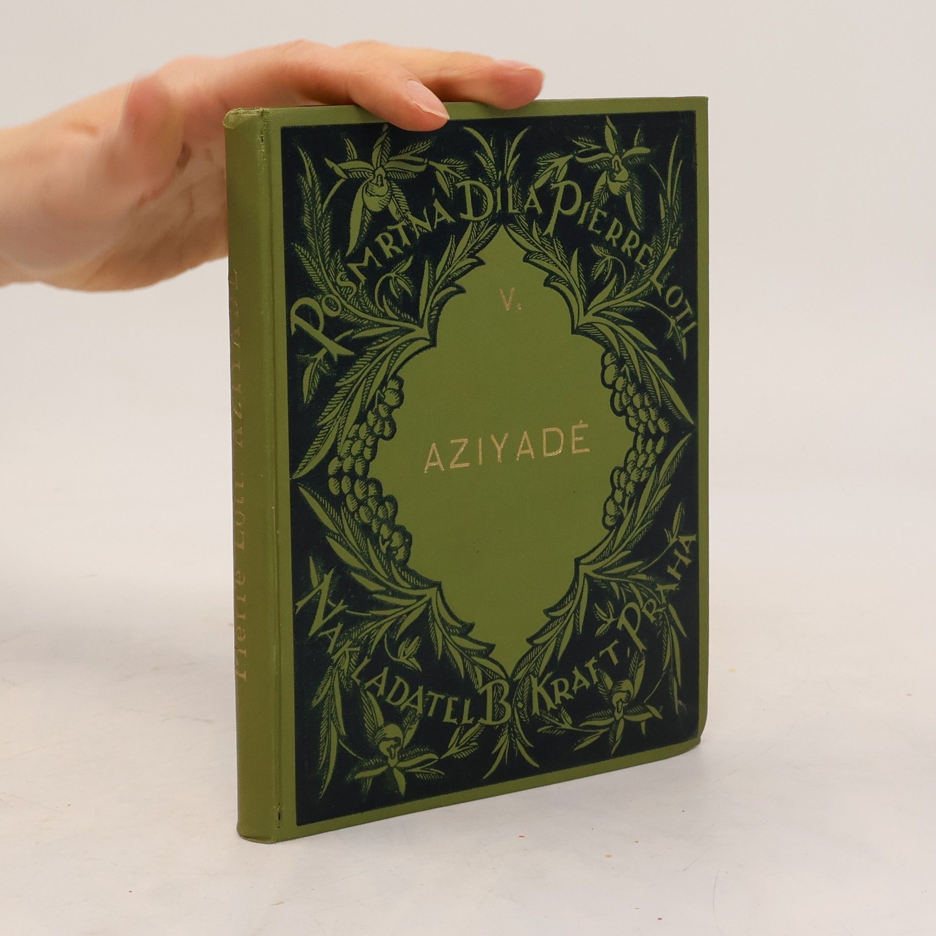 Pierre Loti Aziyadé