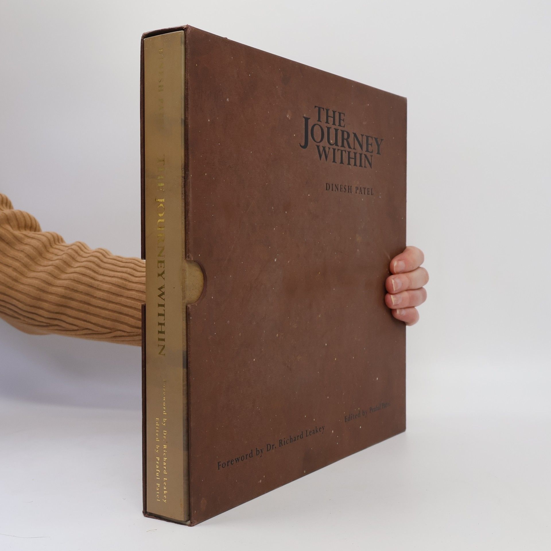 Dinesh Patel The Journey Within