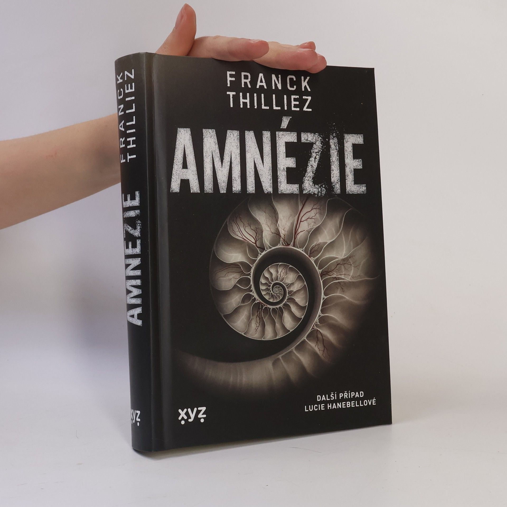 Franck Thilliez Amnézie