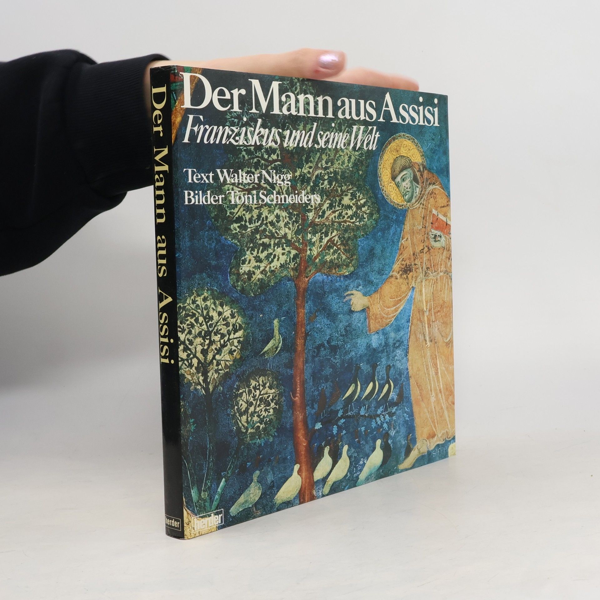 Collectif d'auteurs Der Mann aus Assisi : Franziskus u. seine Welt