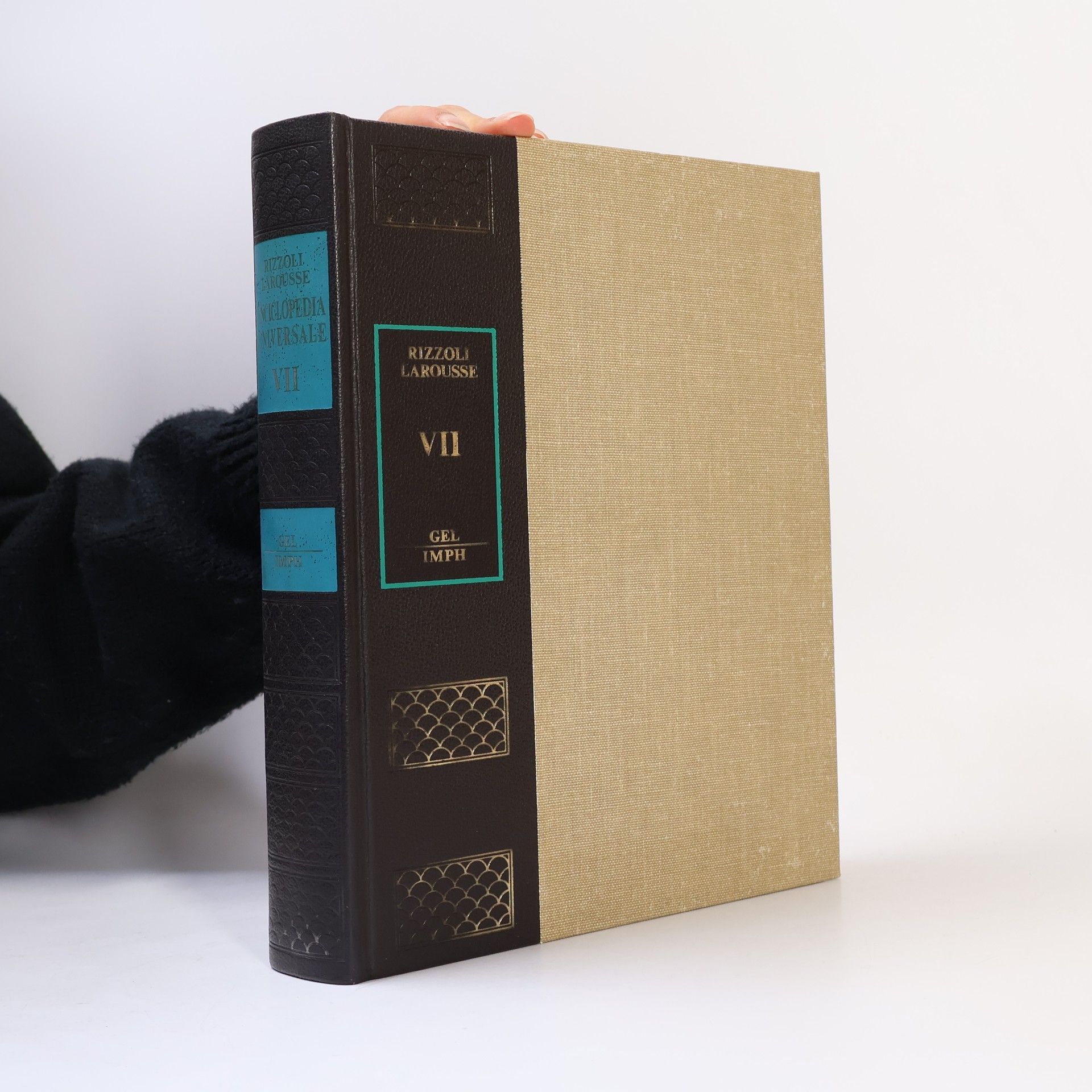 Various authors Rizzoli Larousse VII