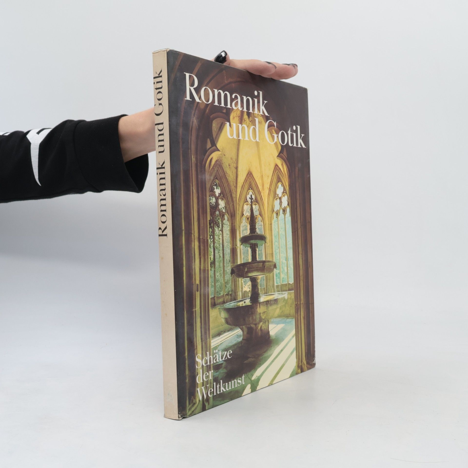 Kolektiv autorů Romanik und Gotik