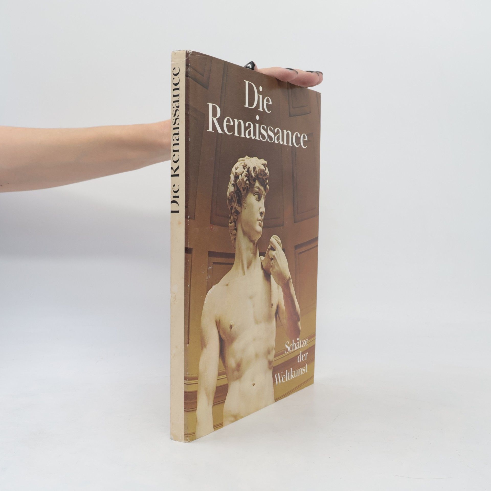 Autorenkollektiv Die Renaissance