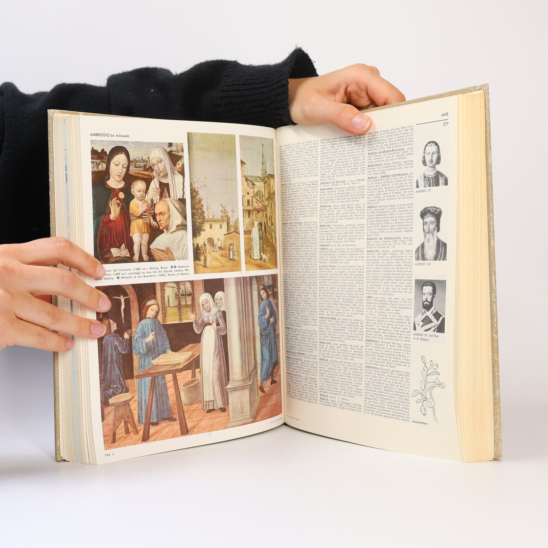 Kolektiv autorů Enciclopedia universale I. A-Avri