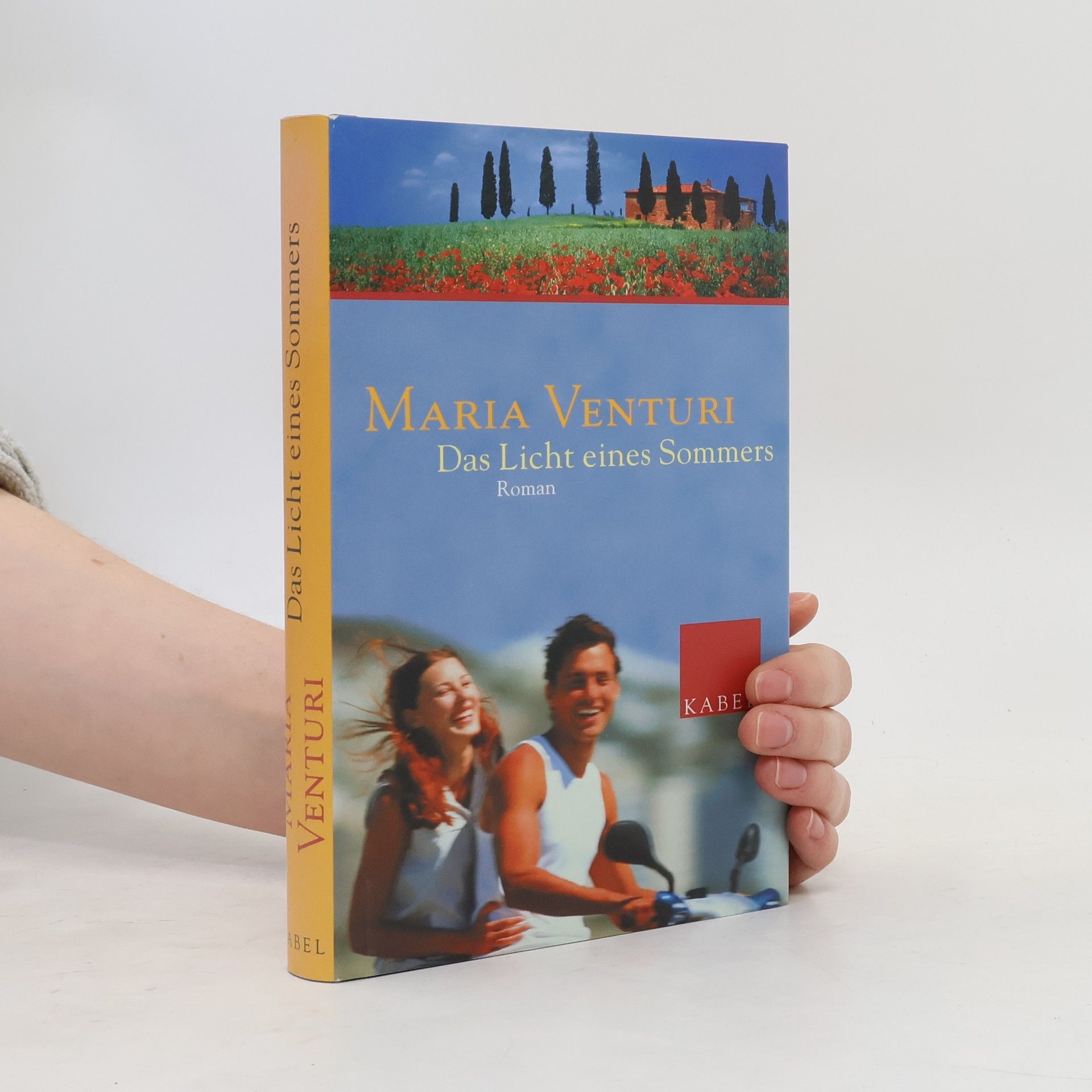 Das Licht eines Sommers