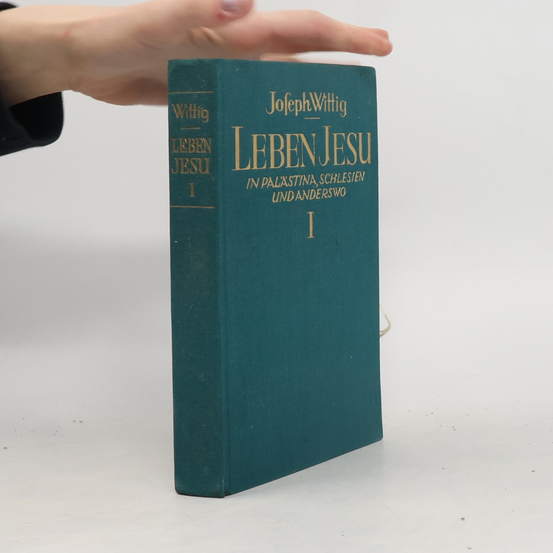 Joseph Wittig Leben Jesu in Palästina, Schlesien und anderswo